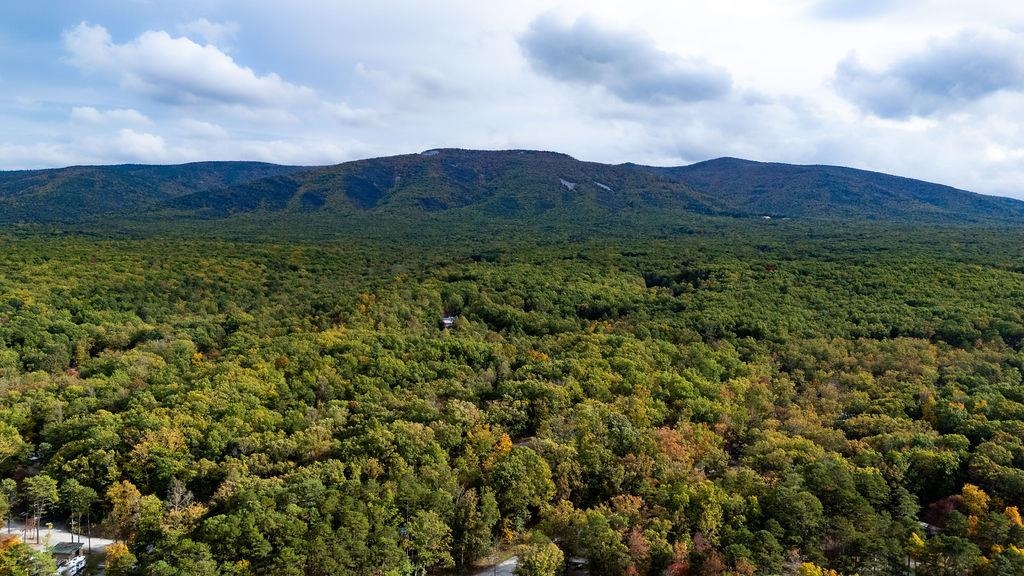 TBD HORSESHOE HOLLOW