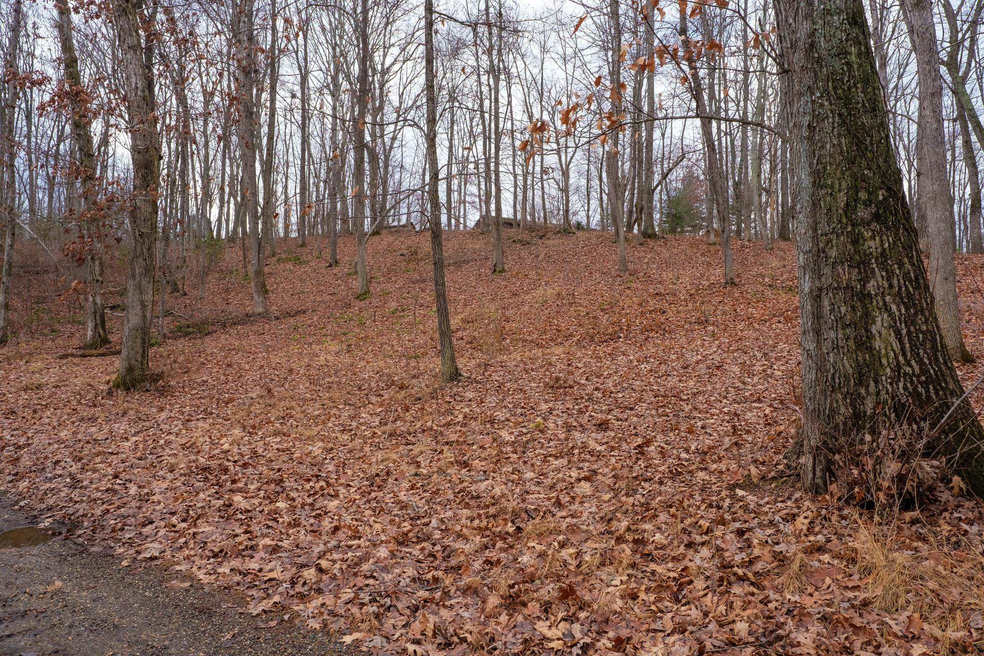 TBD HORSESHOE HOLLOW