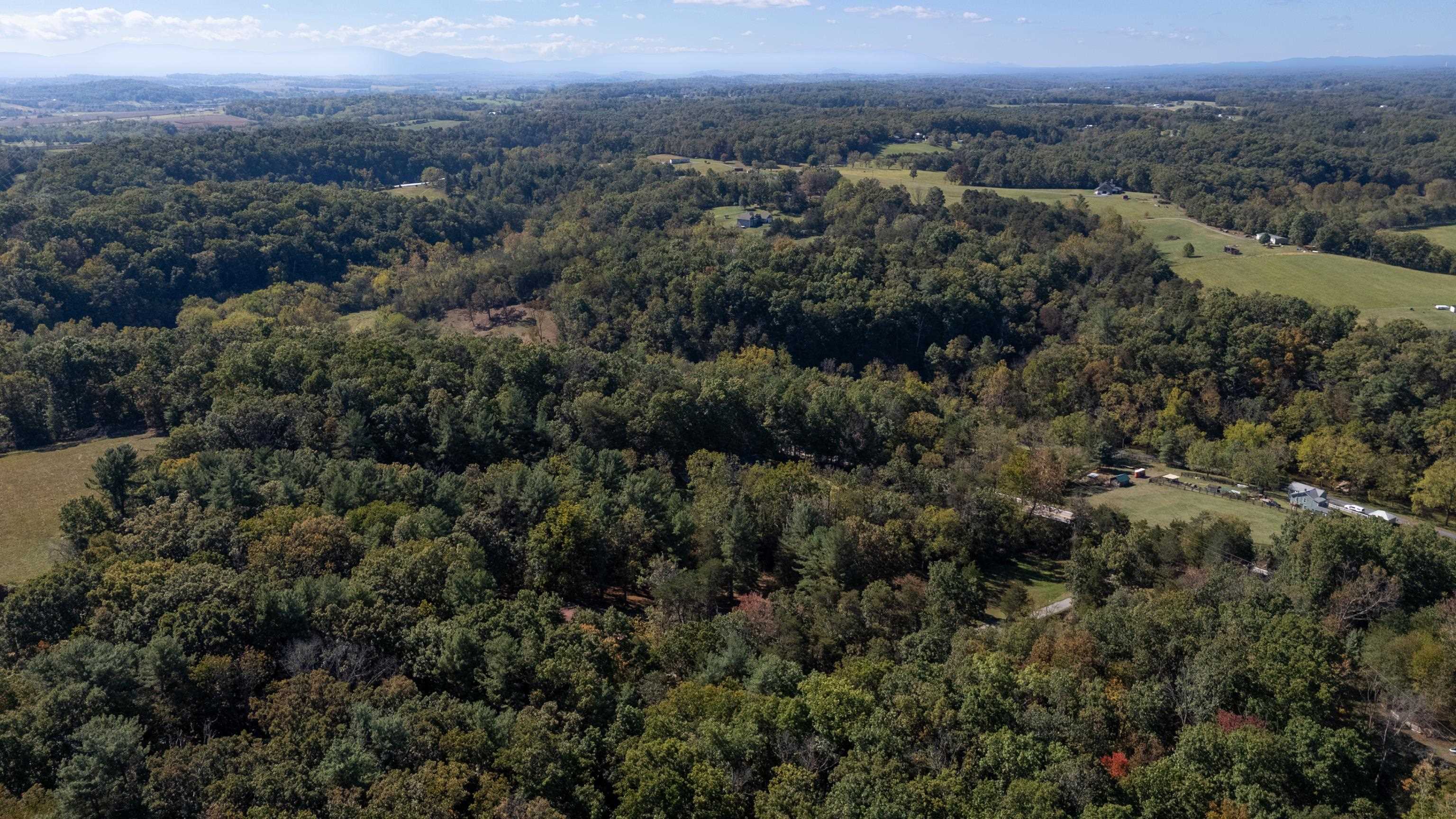 2106 LAUREL HILL RD