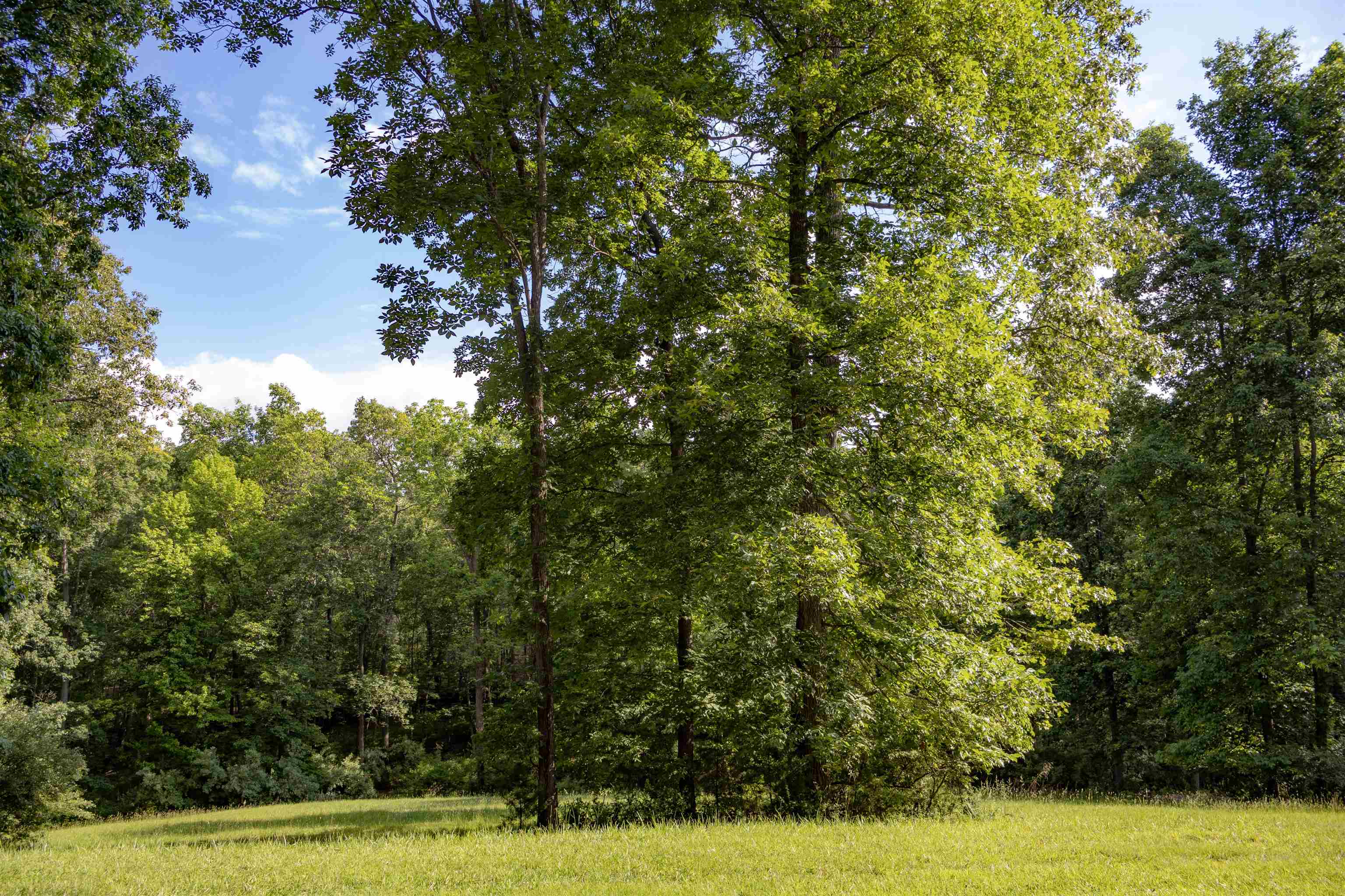 Lot 11 FARMINGTON DR