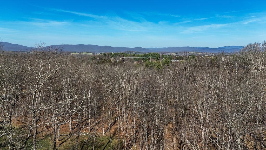 Lot 11 FARMINGTON DR