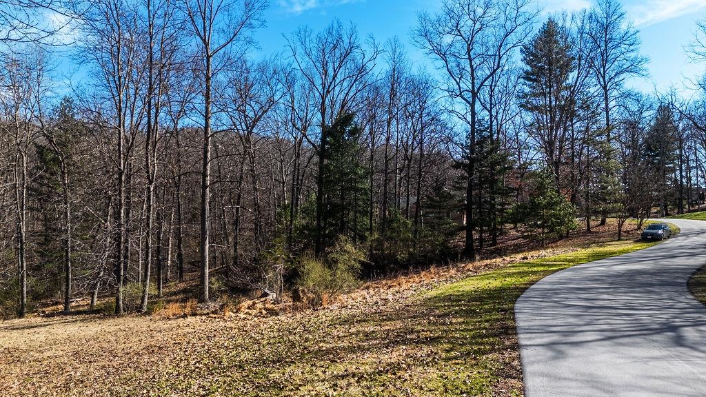Lot 11 FARMINGTON DR