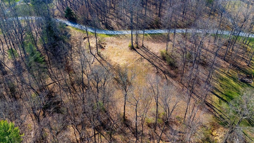 Lot 11 FARMINGTON DR