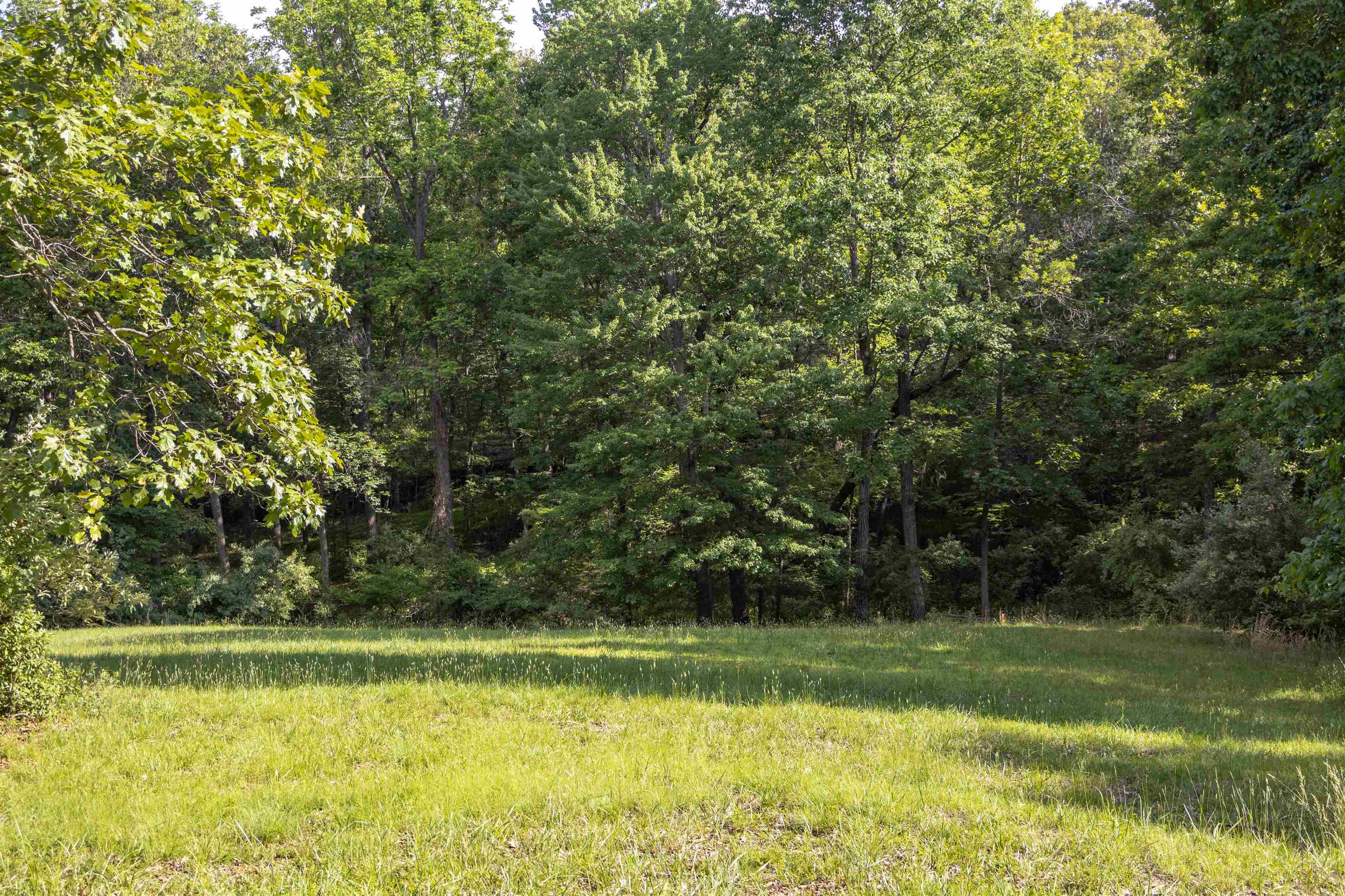 Lot 11 FARMINGTON DR