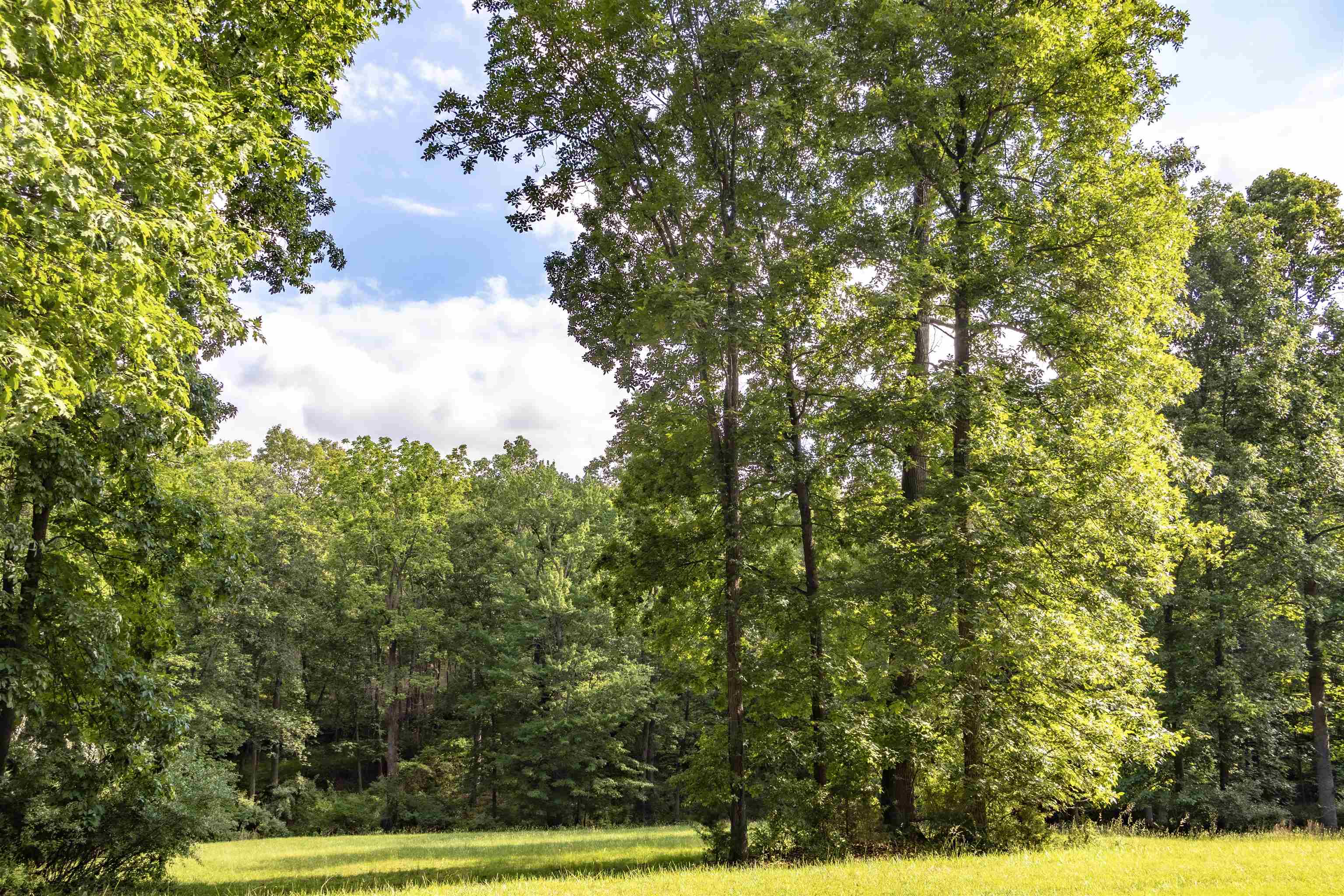 Lot 11 FARMINGTON DR