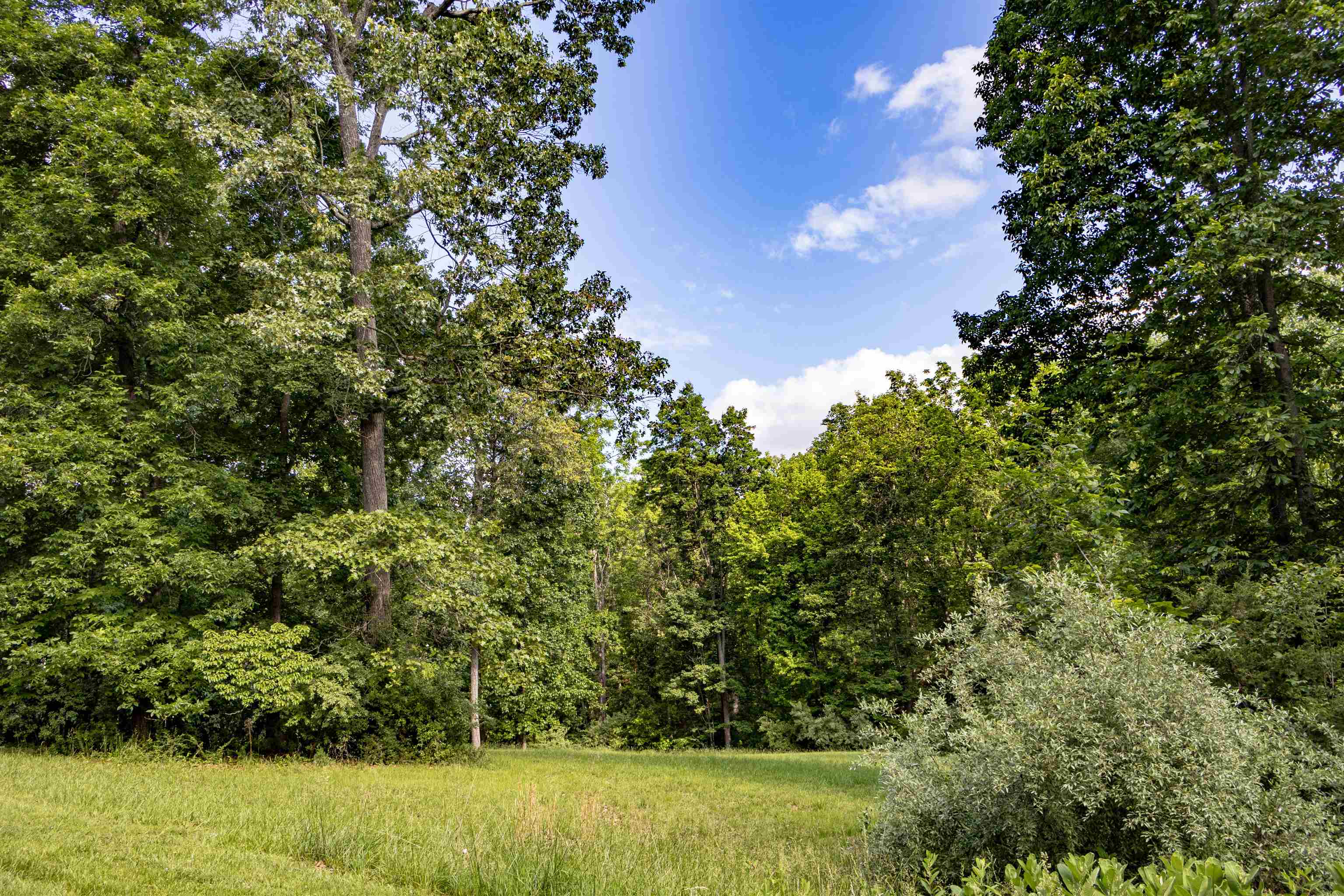 Lot 11 FARMINGTON DR