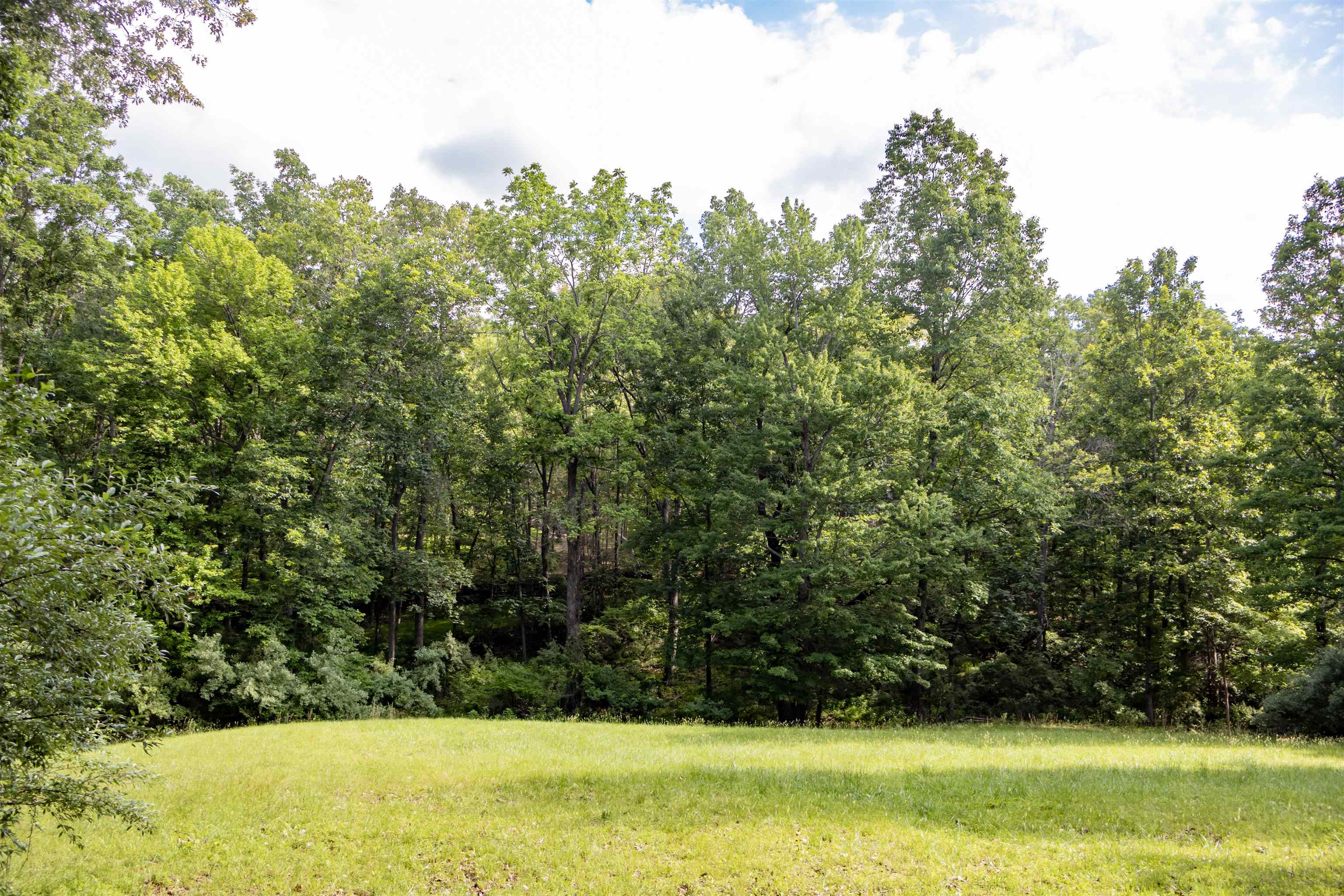 Lot 11 FARMINGTON DR