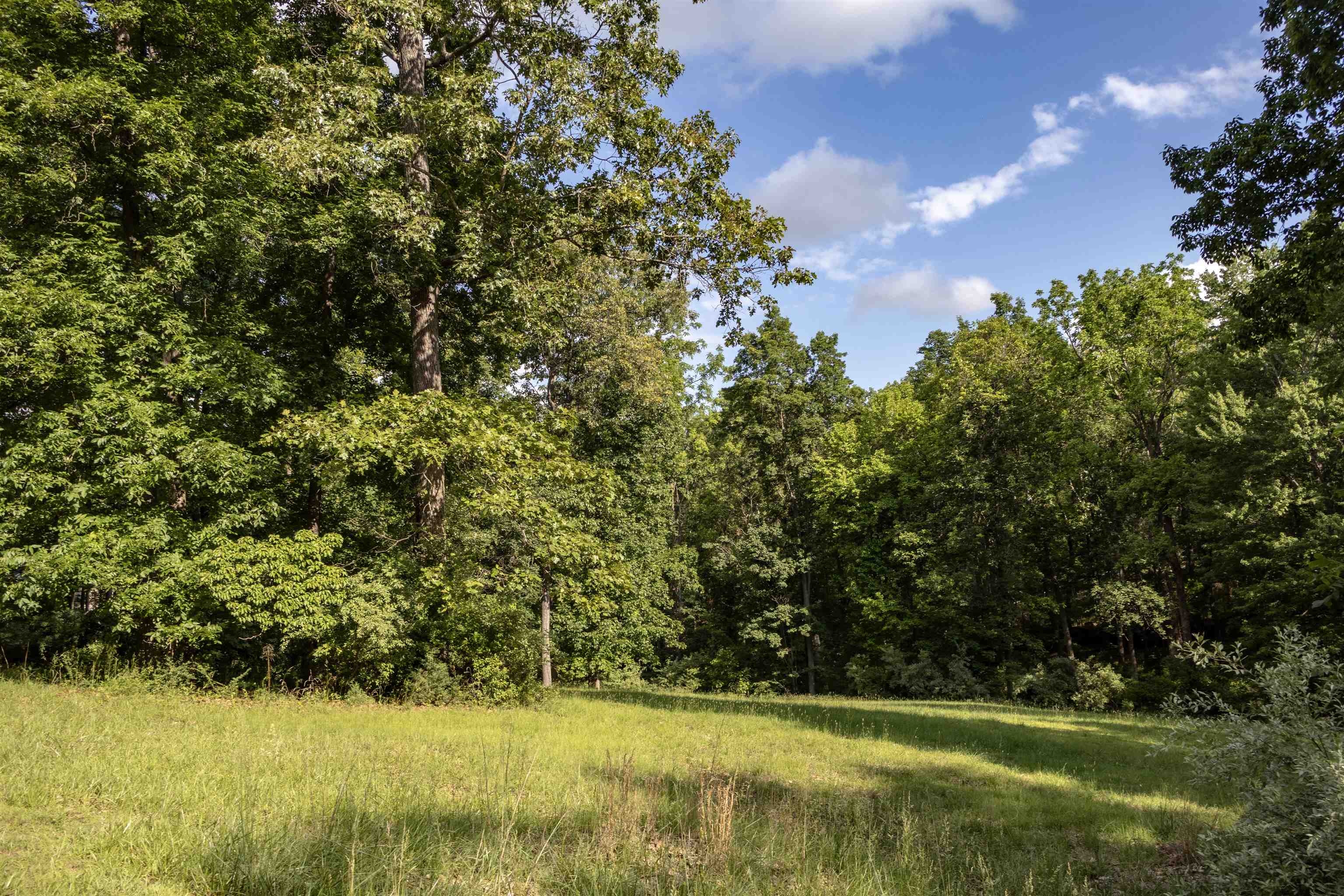 Lot 11 FARMINGTON DR