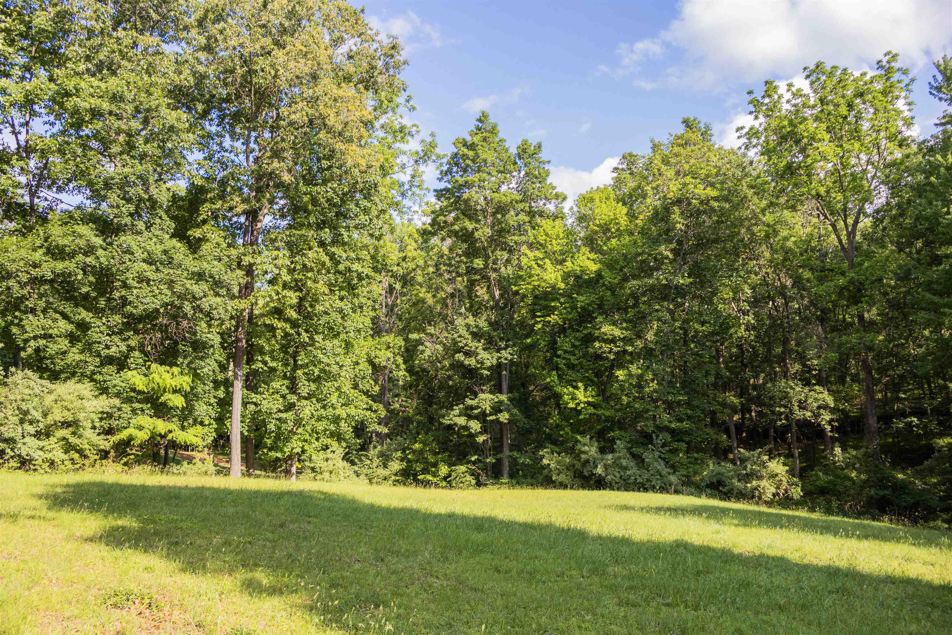 Lot 11 FARMINGTON DR