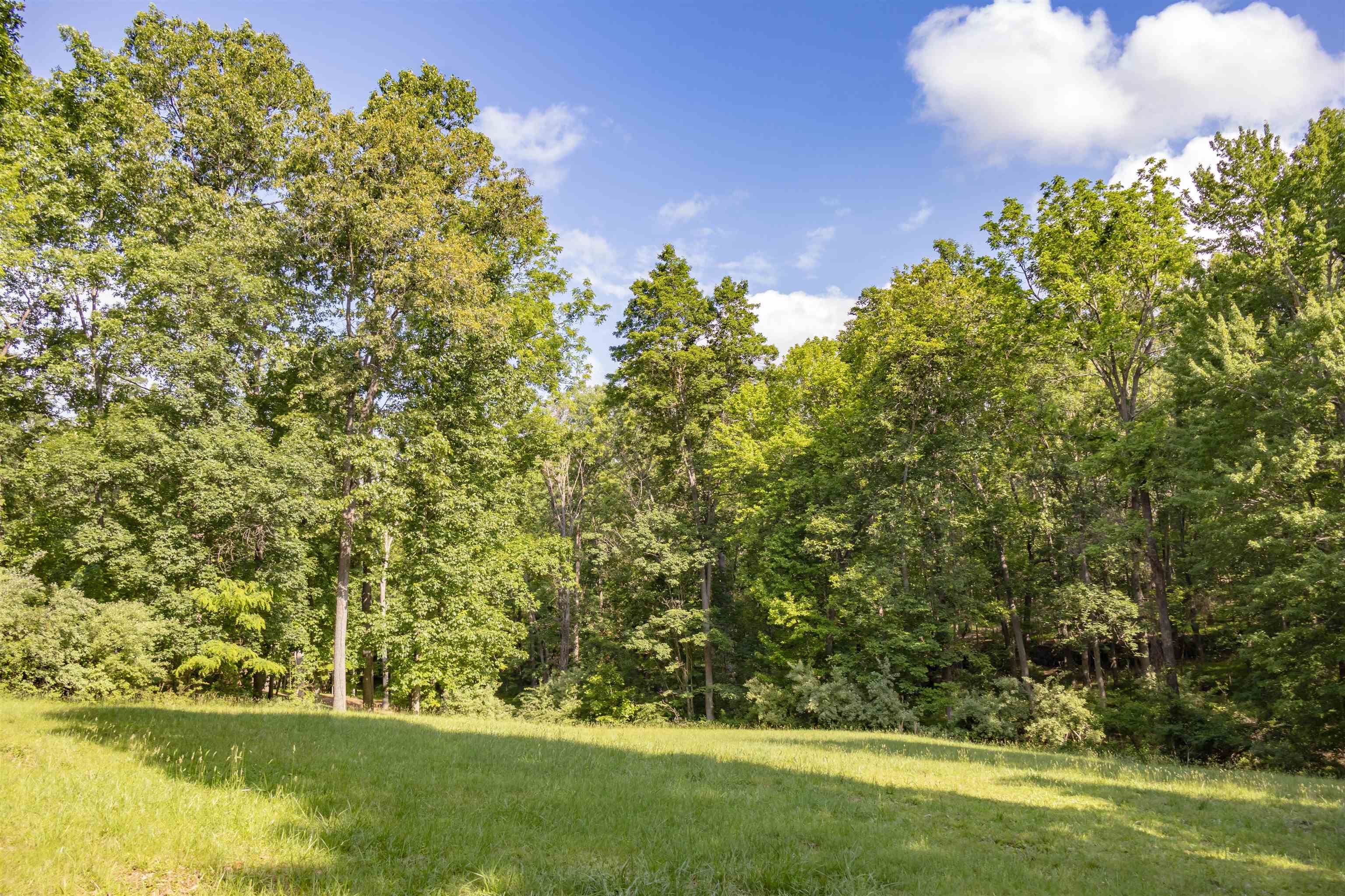 Lot 11 FARMINGTON DR