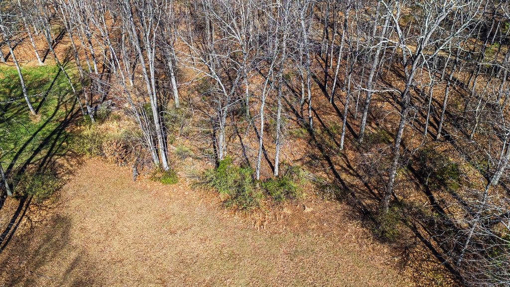 Lot 11 FARMINGTON DR