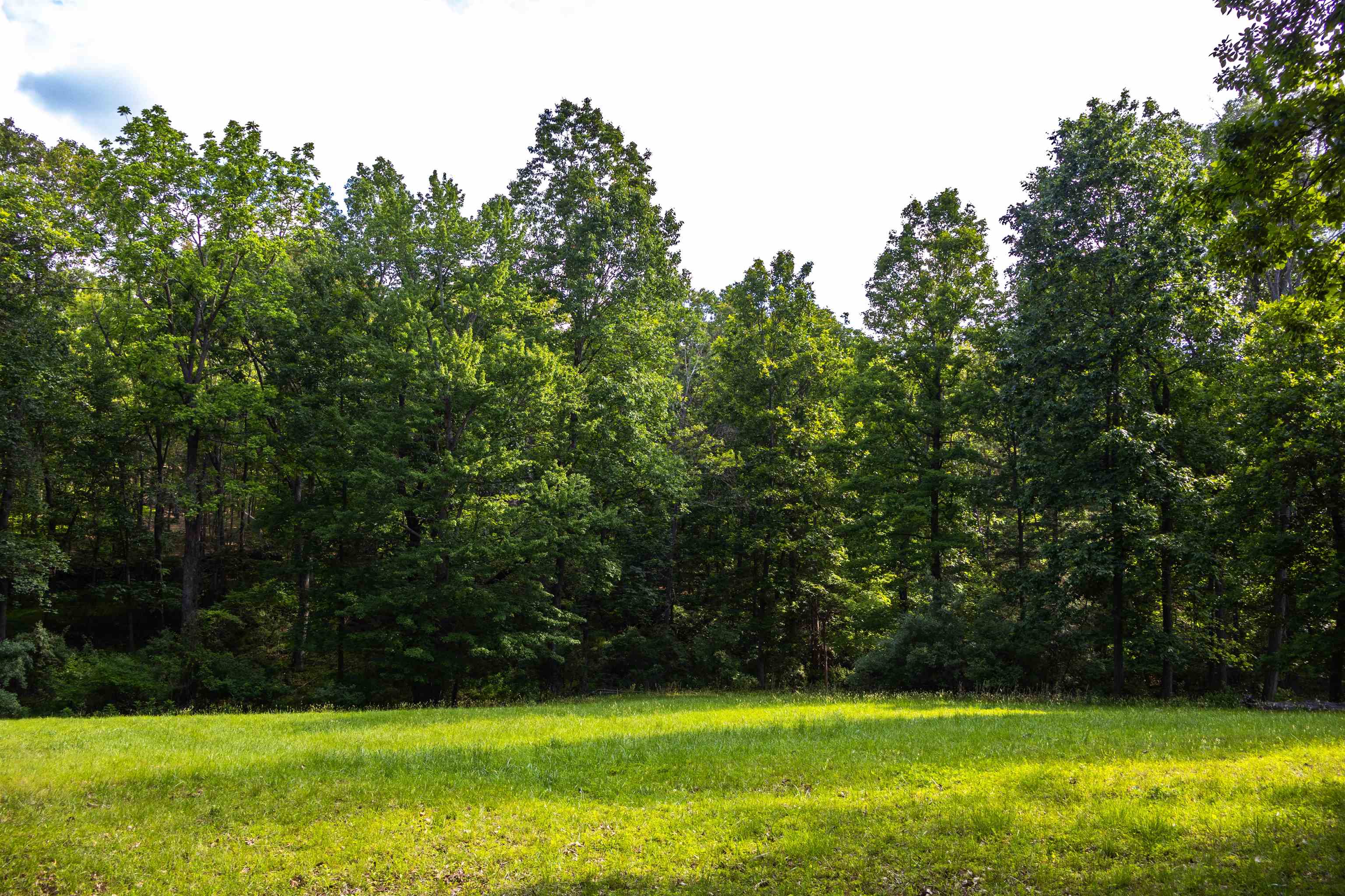 Lot 11 FARMINGTON DR
