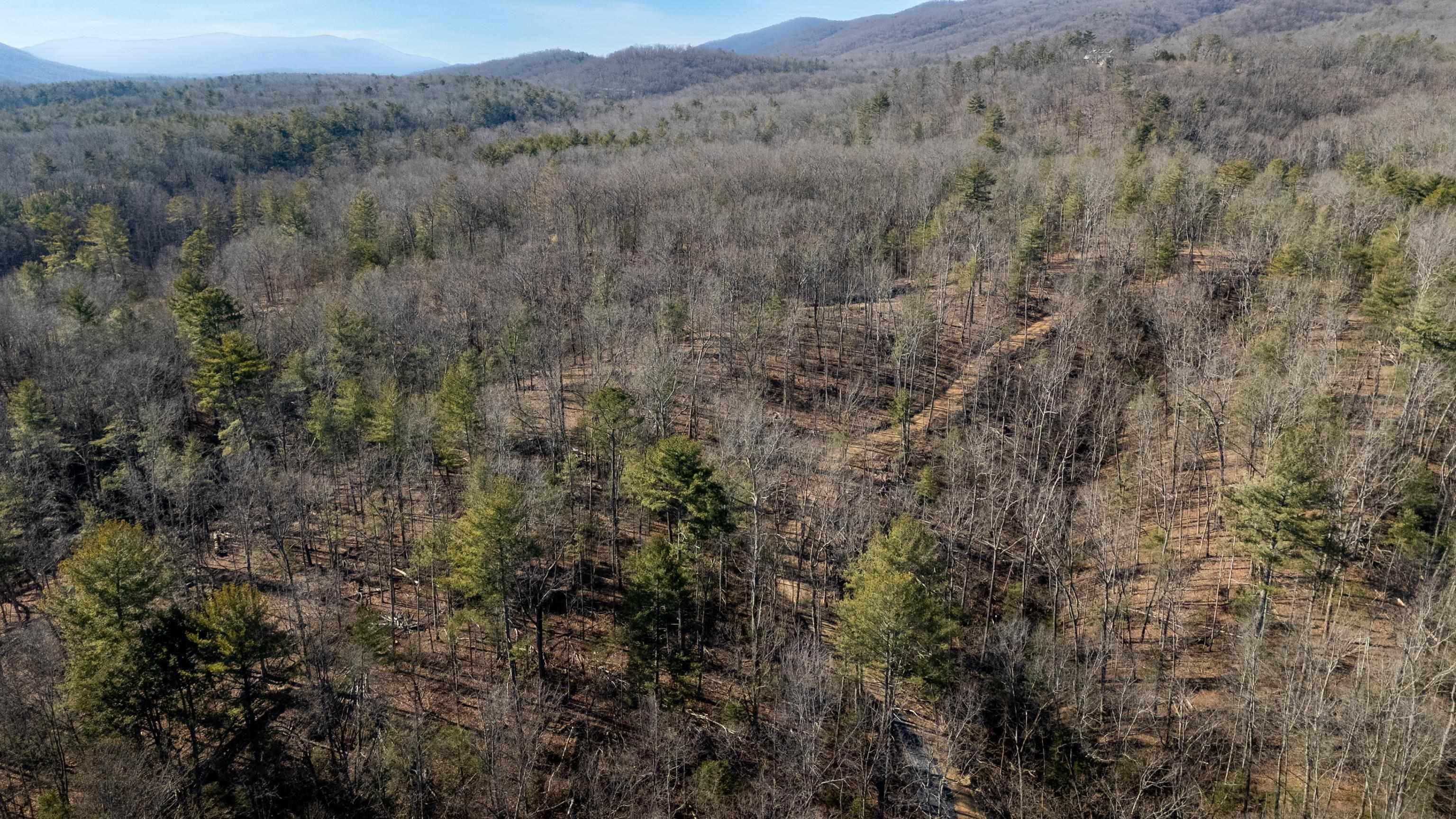 24.97 ac STRIBLING SPRINGS RD