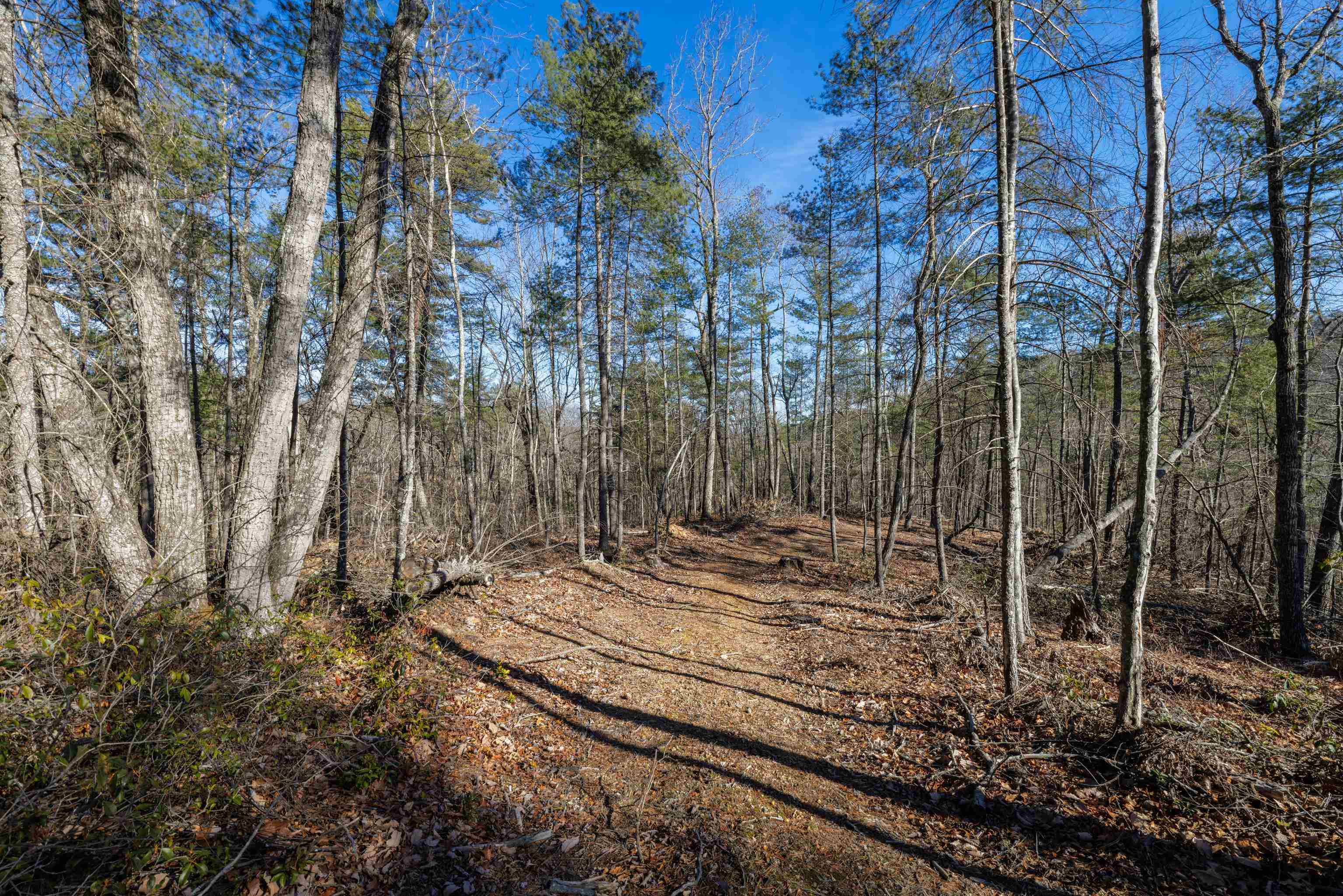 24.97 ac STRIBLING SPRINGS RD