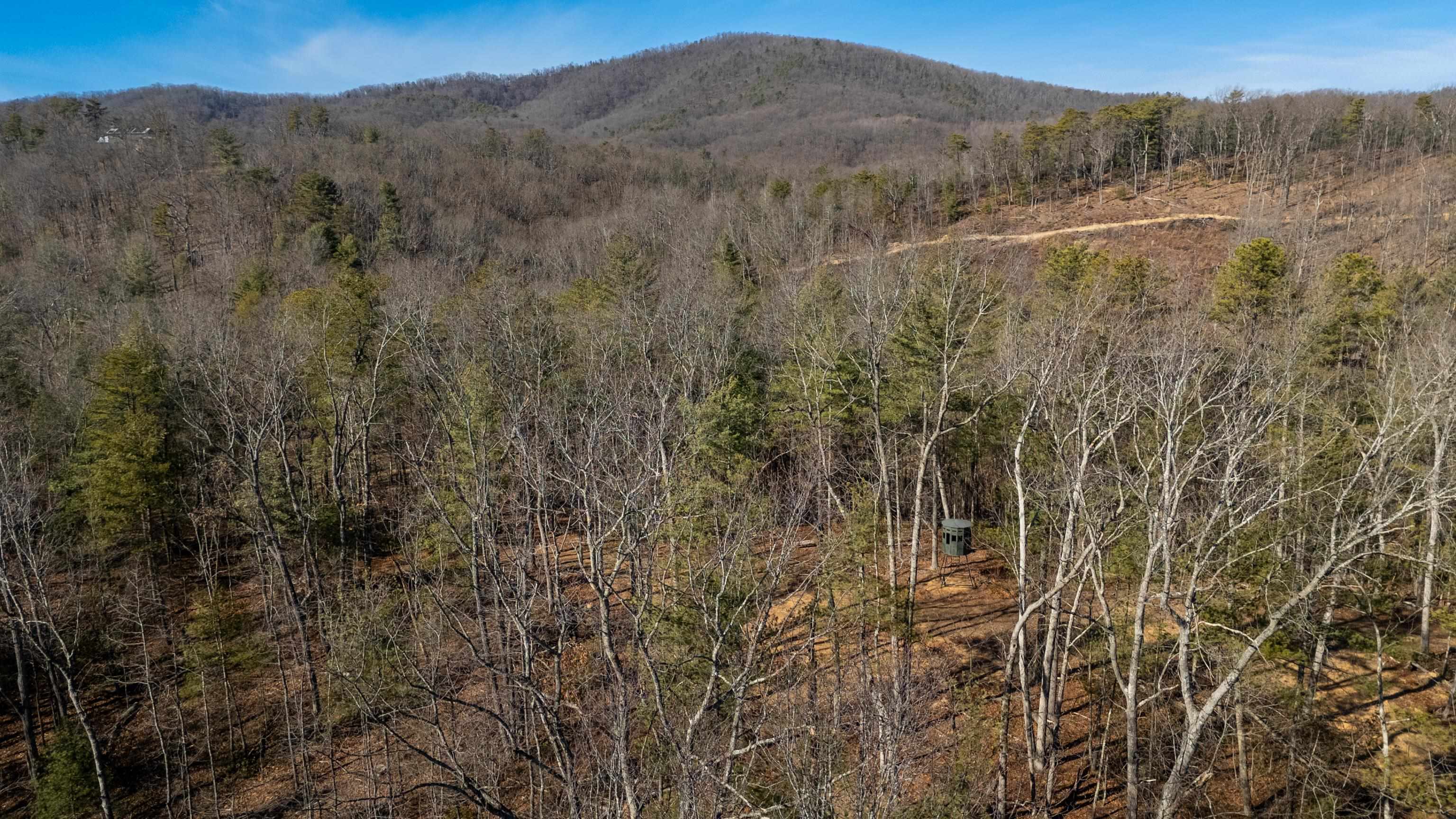 24.97 ac STRIBLING SPRINGS RD