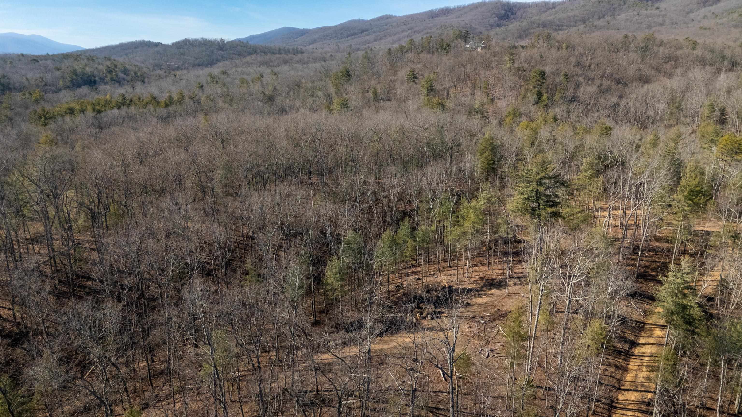 24.97 ac STRIBLING SPRINGS RD