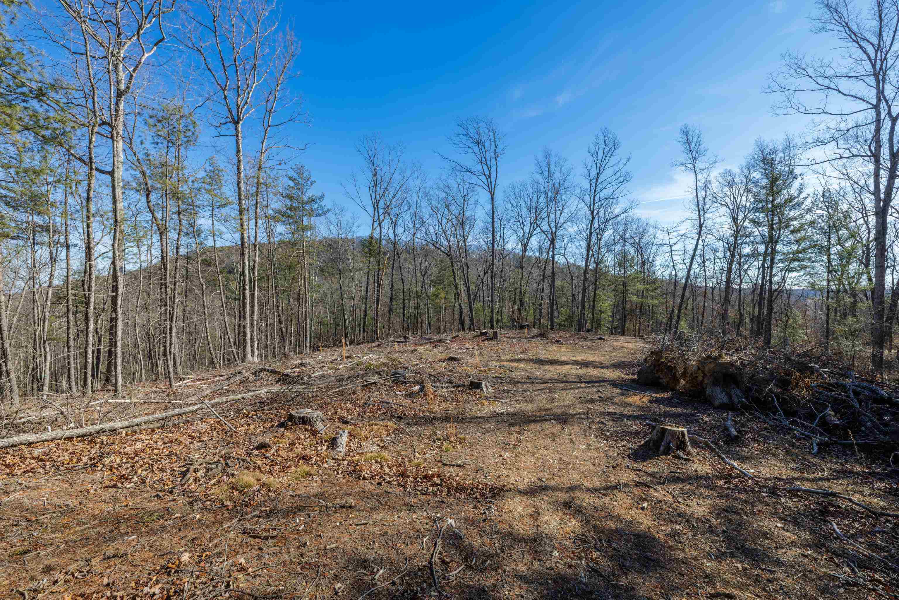 24.97 ac STRIBLING SPRINGS RD