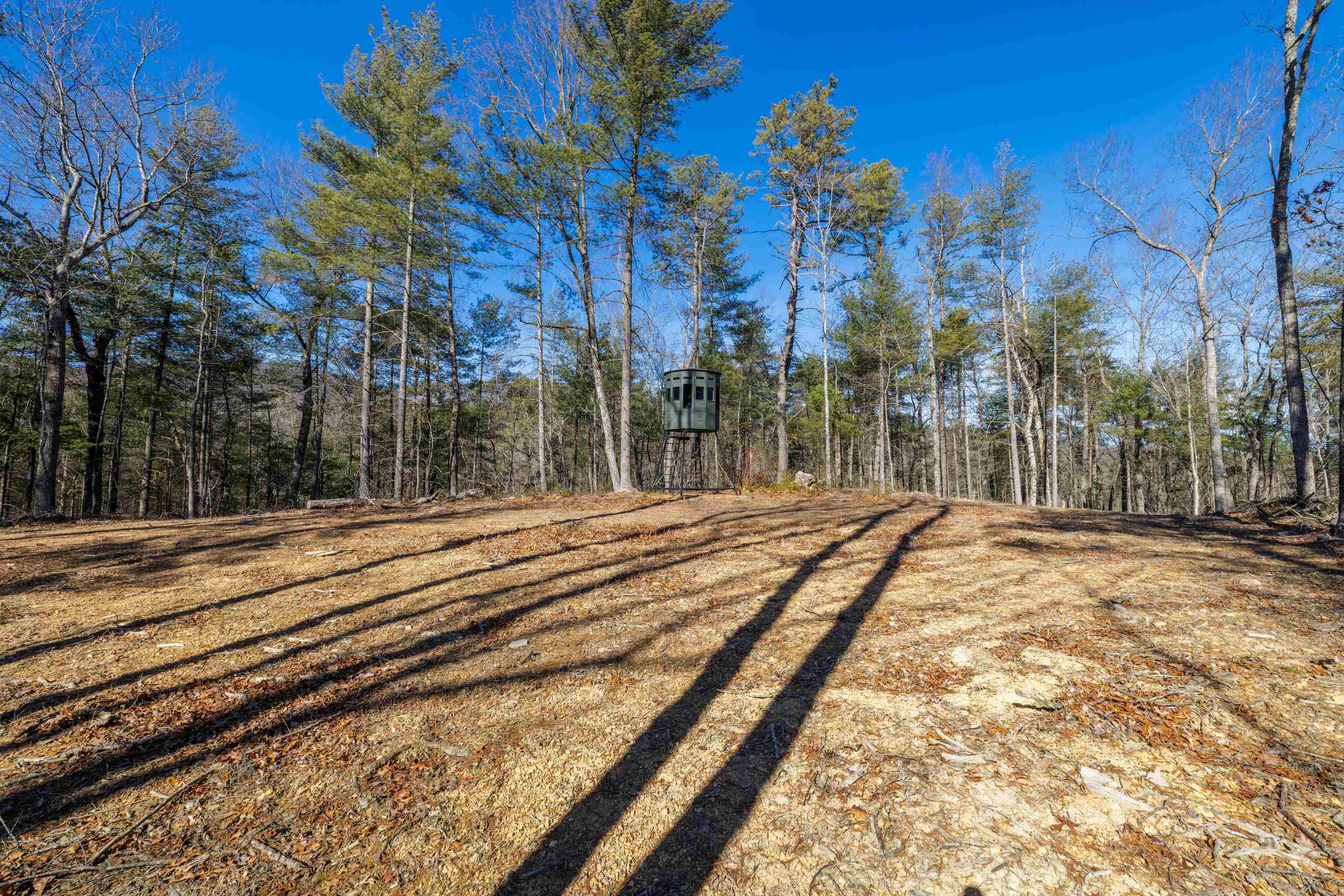 24.97 ac STRIBLING SPRINGS RD