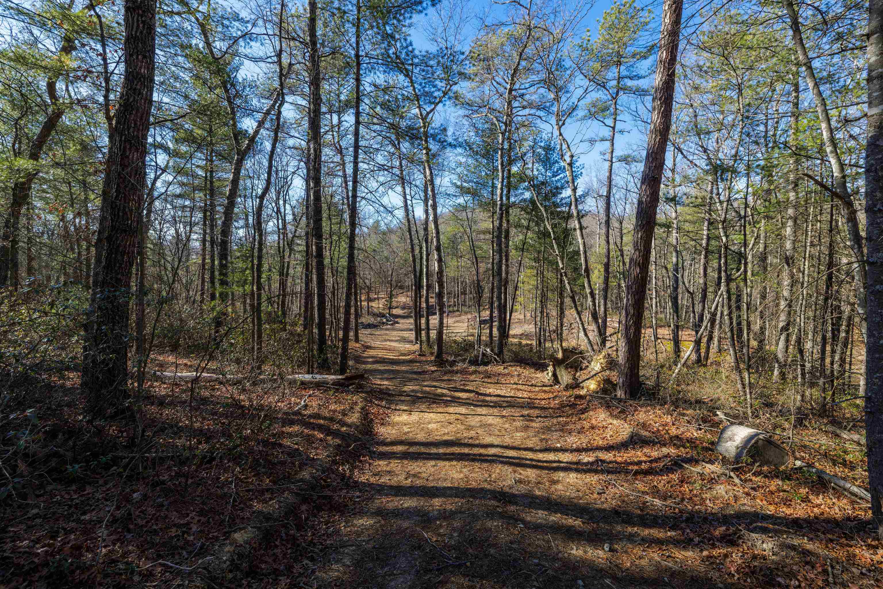 24.97 ac STRIBLING SPRINGS RD