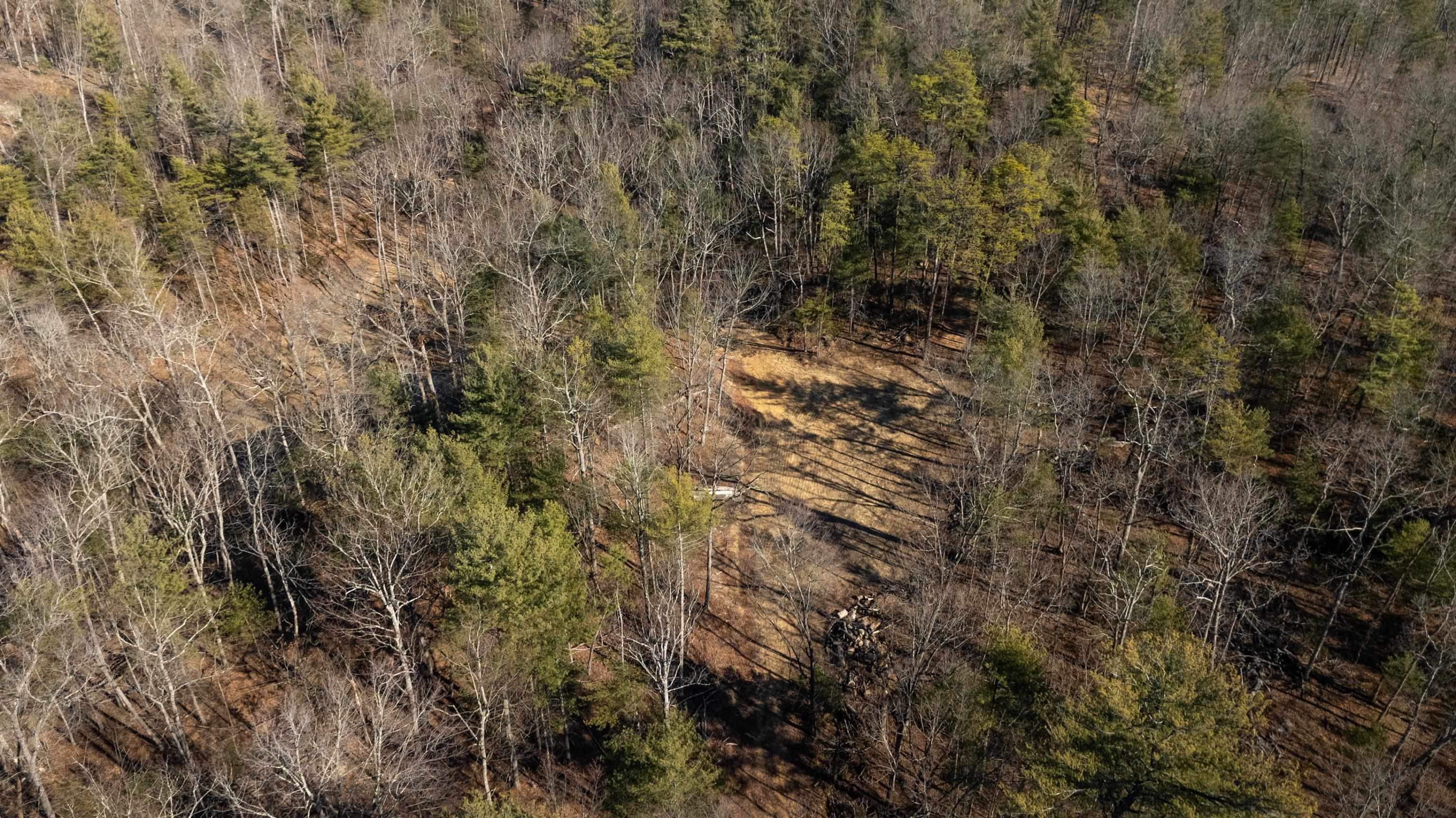 24.97 ac STRIBLING SPRINGS RD