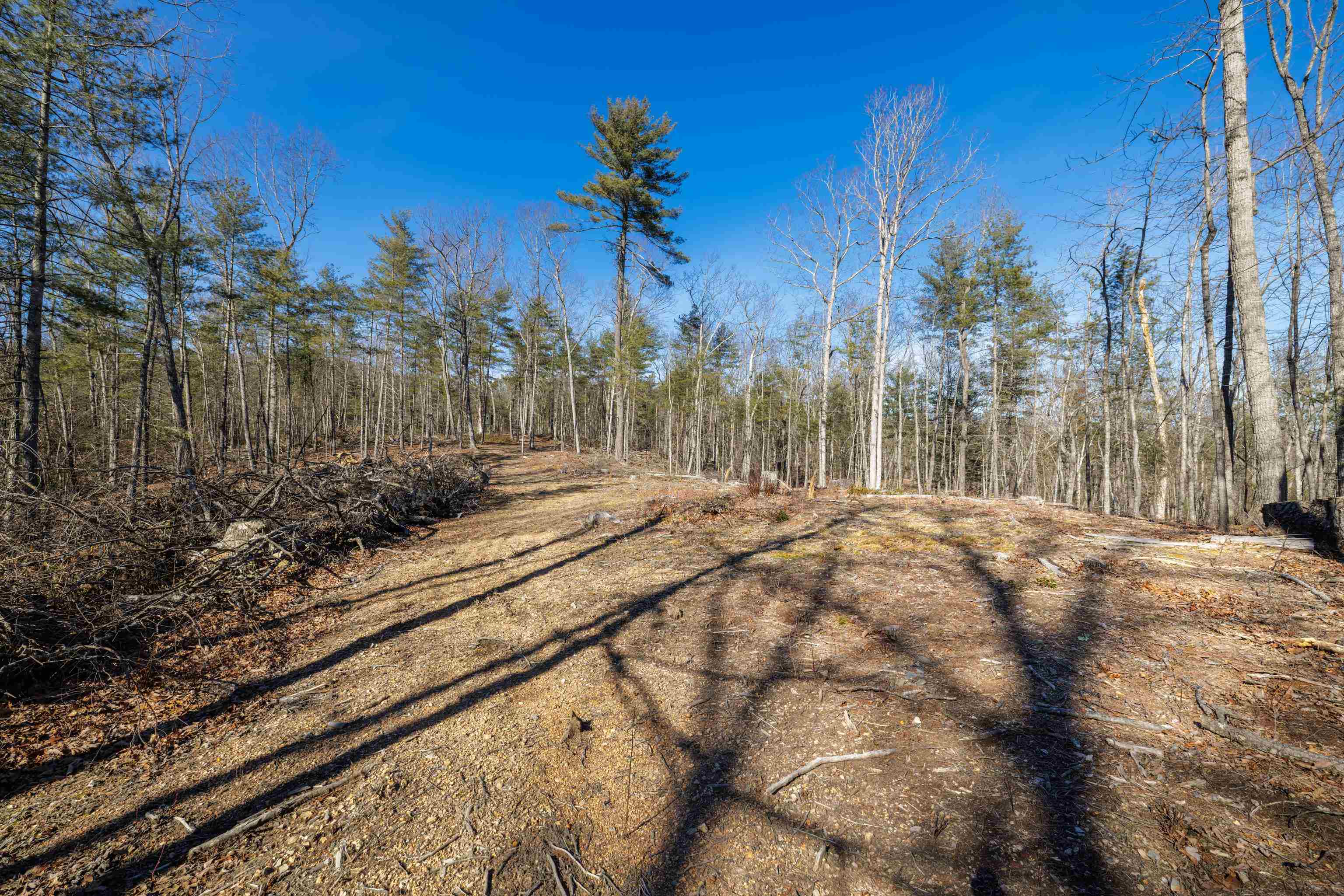 24.97 ac STRIBLING SPRINGS RD