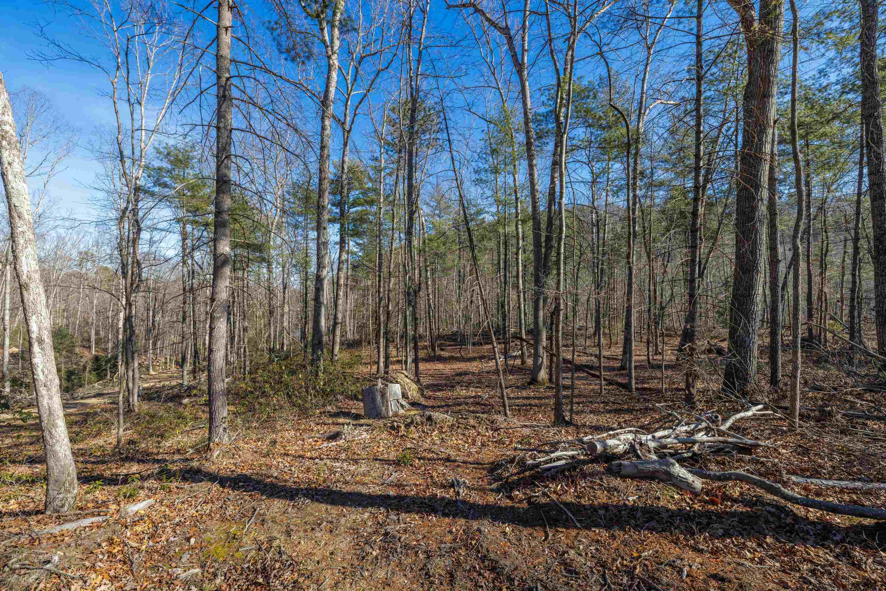 24.97 ac STRIBLING SPRINGS RD