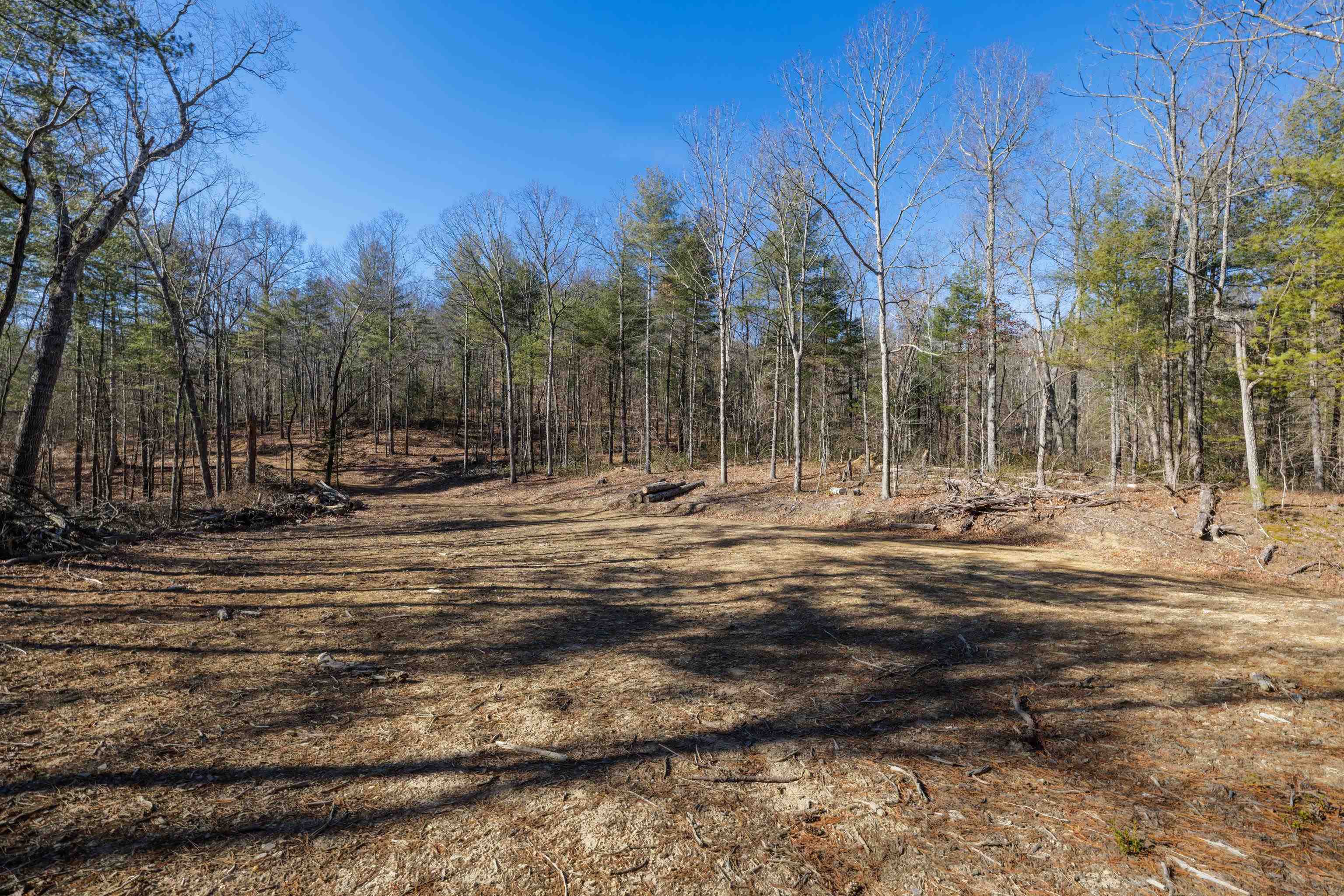24.97 ac STRIBLING SPRINGS RD
