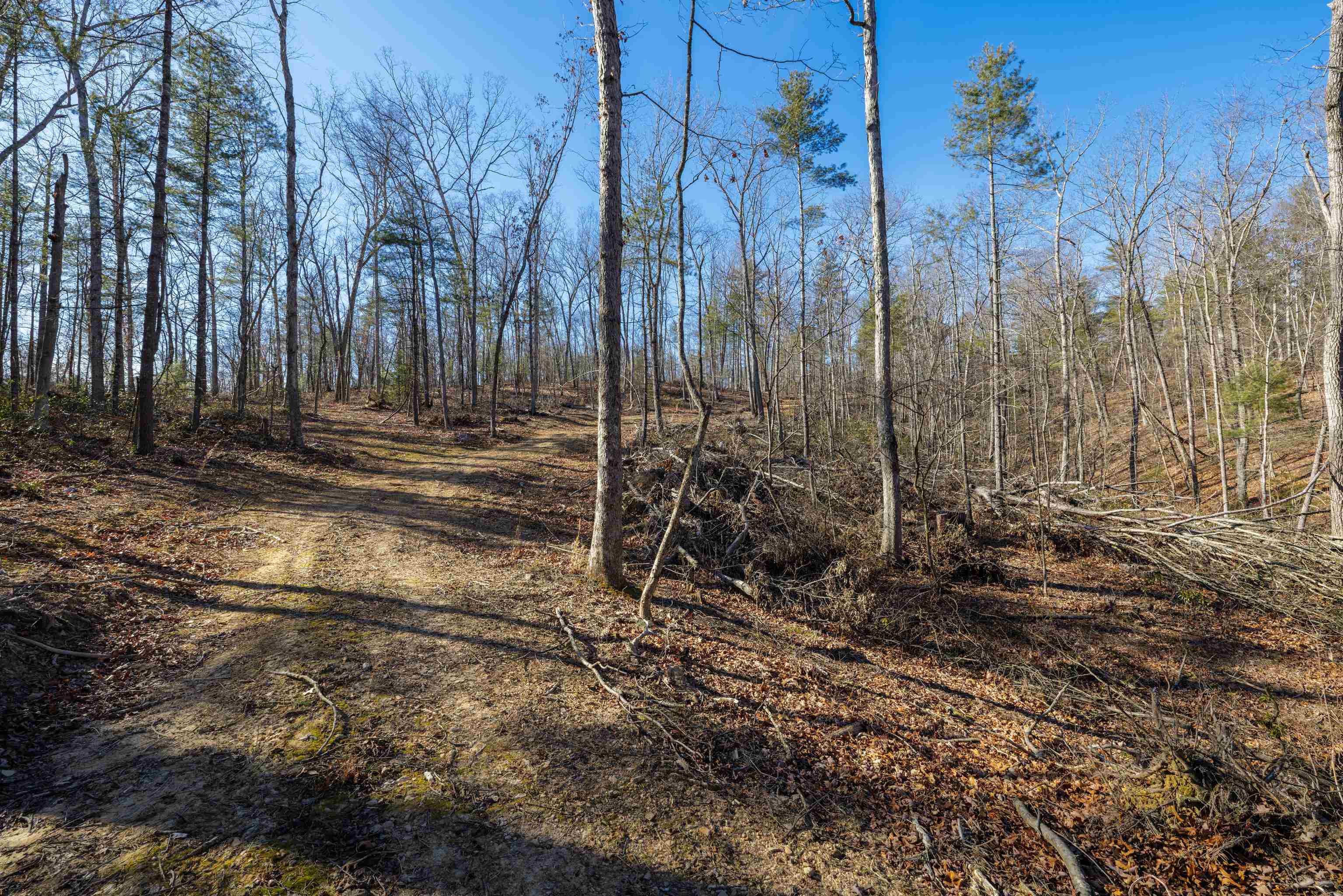 24.97 ac STRIBLING SPRINGS RD