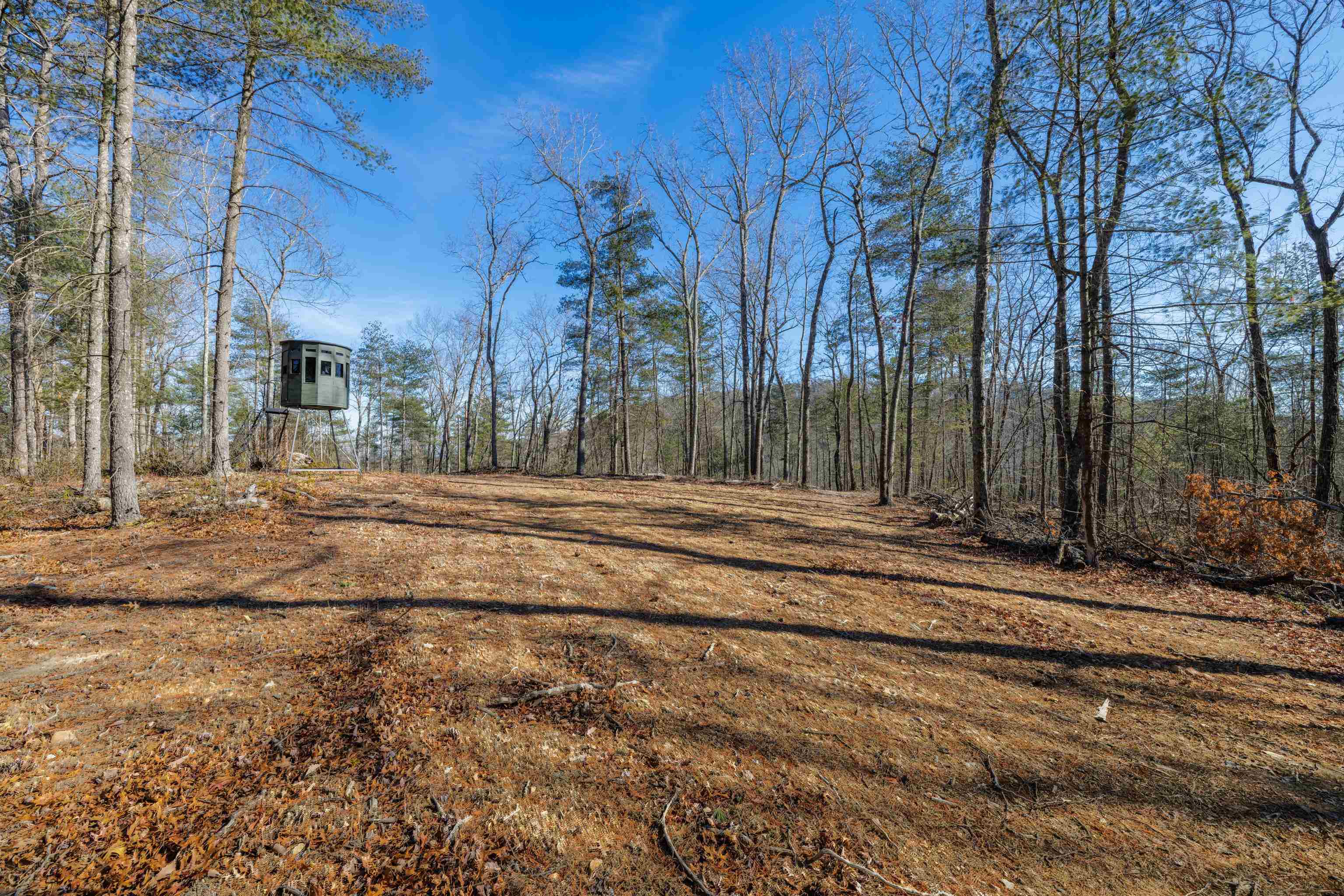 24.97 ac STRIBLING SPRINGS RD