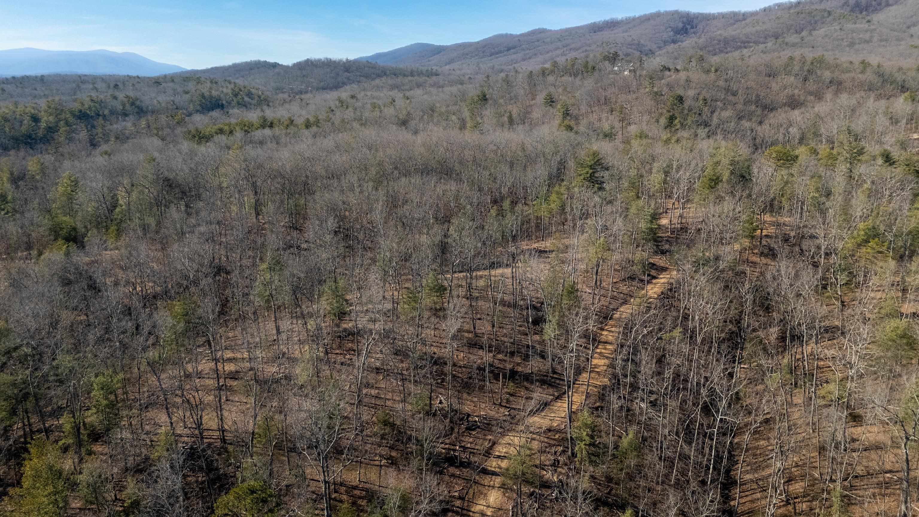 24.97 ac STRIBLING SPRINGS RD
