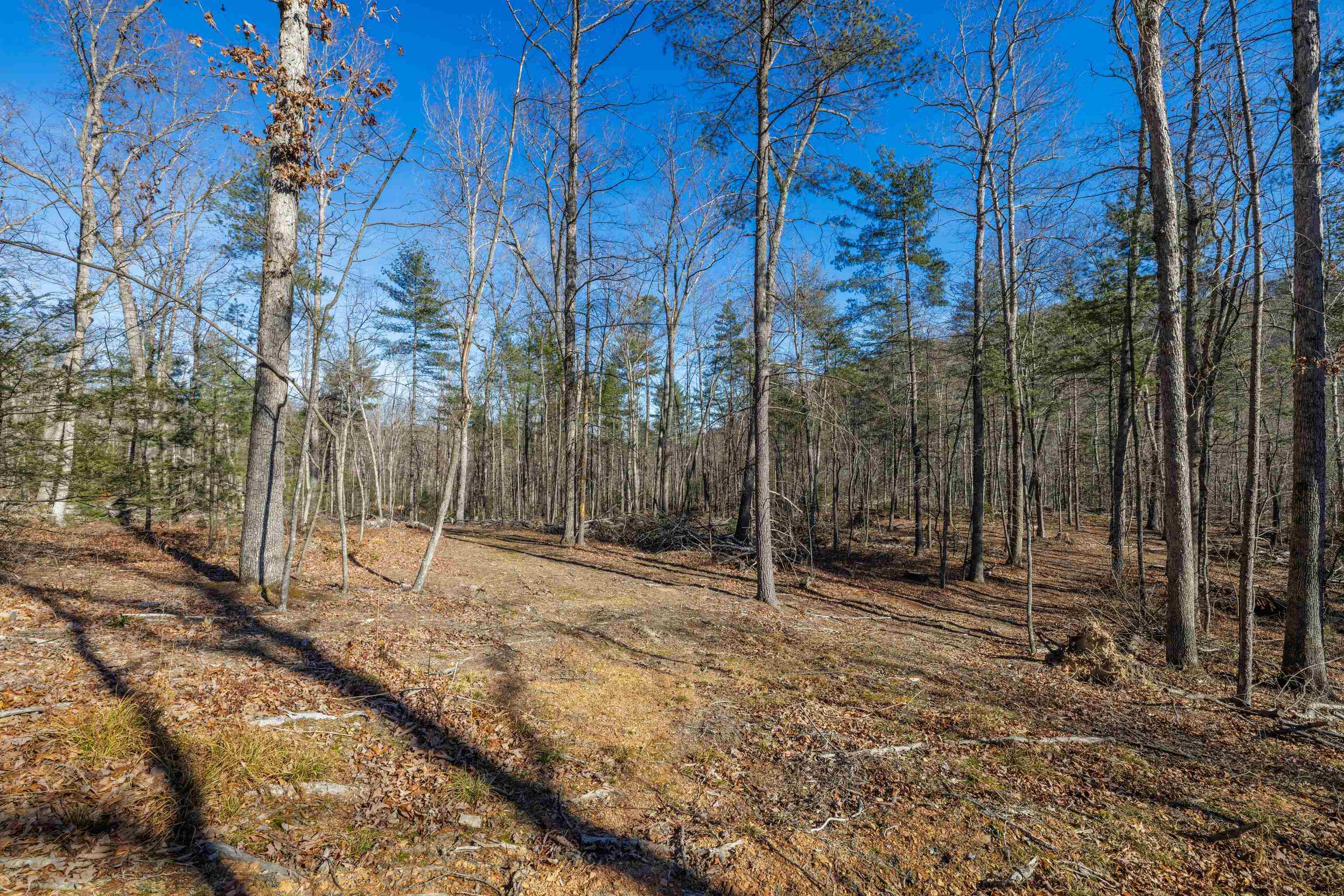 24.97 ac STRIBLING SPRINGS RD