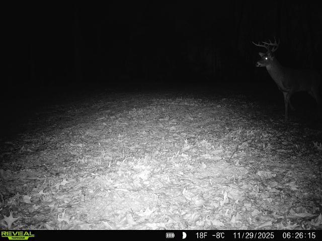 24.97 ac STRIBLING SPRINGS RD