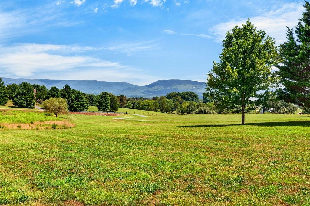 1446 ROCKFISH RD