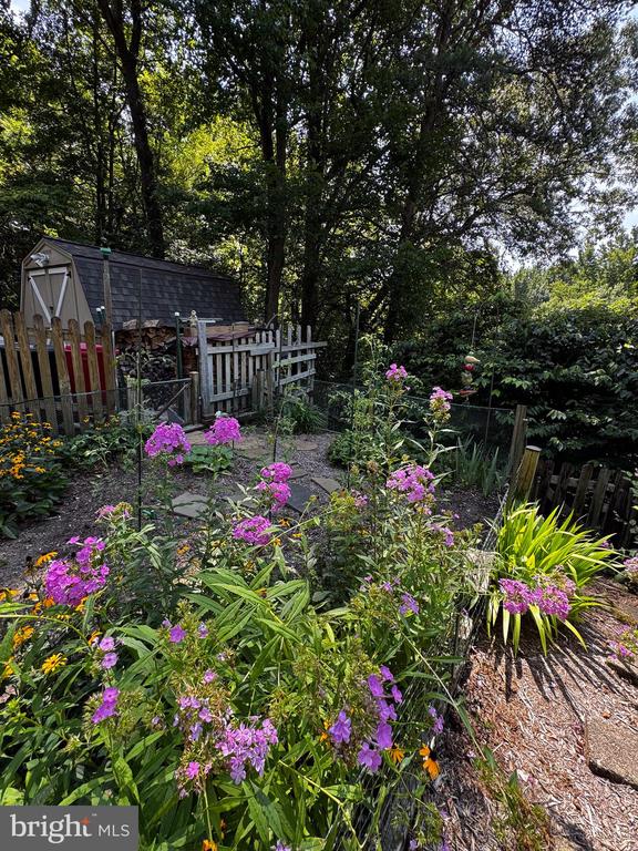 300 OWINGS HILL COURT