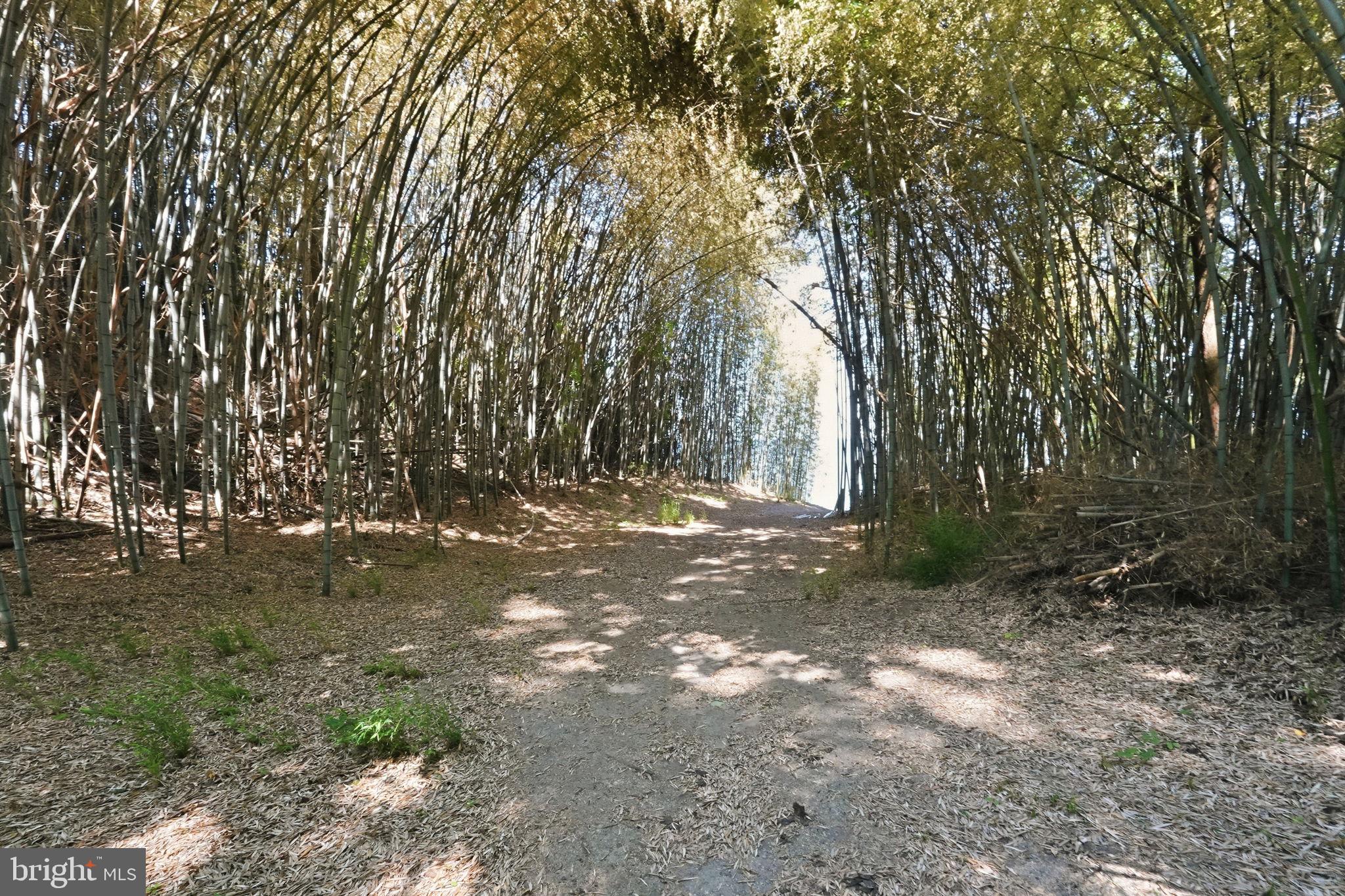4010 BEACH DRIVE