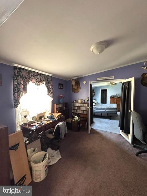 207 PHEASANT RIDGE CIRCLE