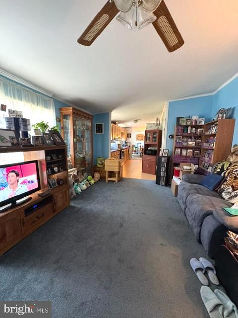 207 PHEASANT RIDGE CIRCLE