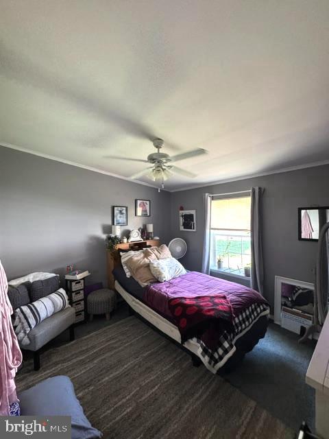207 PHEASANT RIDGE CIRCLE