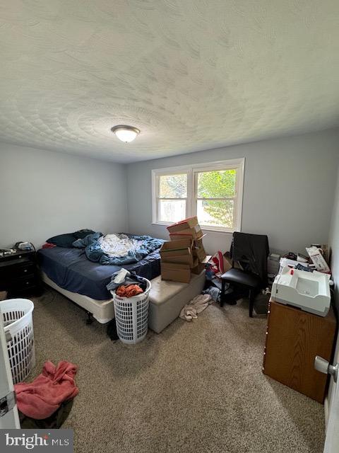 2331 BIRCH ROAD