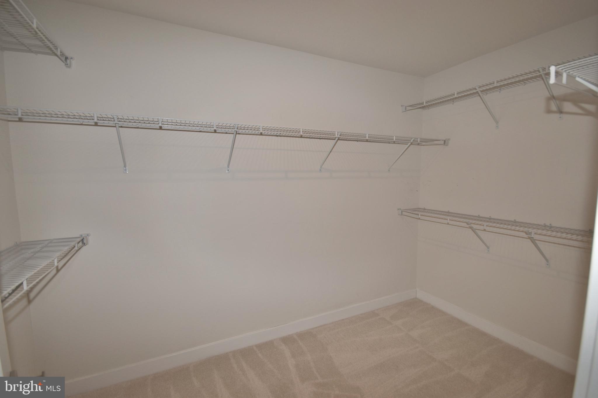 7426 LAKE WILLOW COURT