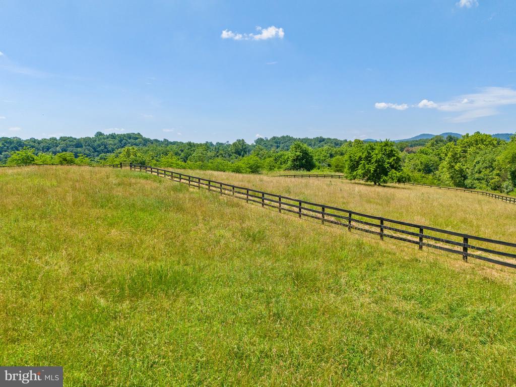 9425 BLACKPOND LANE