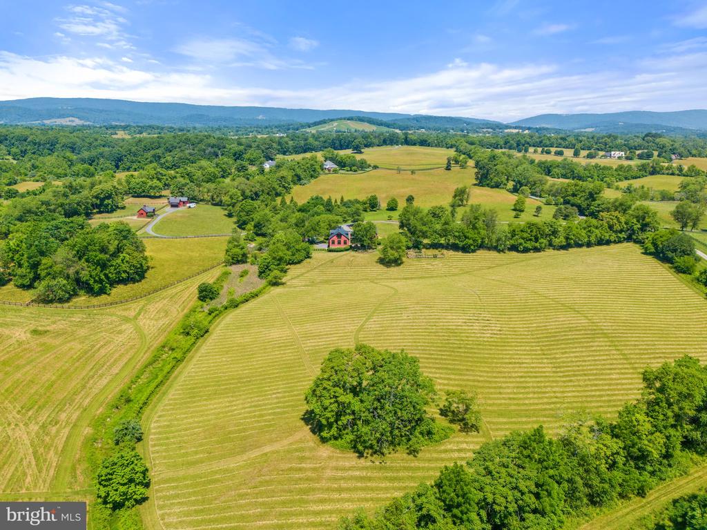9425 BLACKPOND LANE