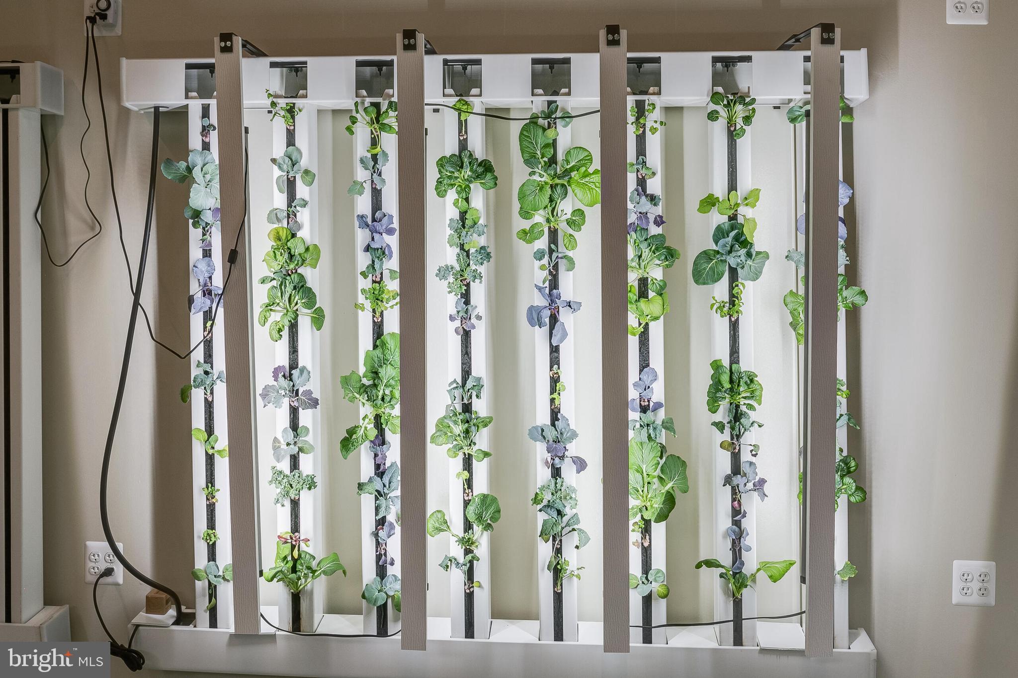 5553 BEVERLEYS MILL ROAD