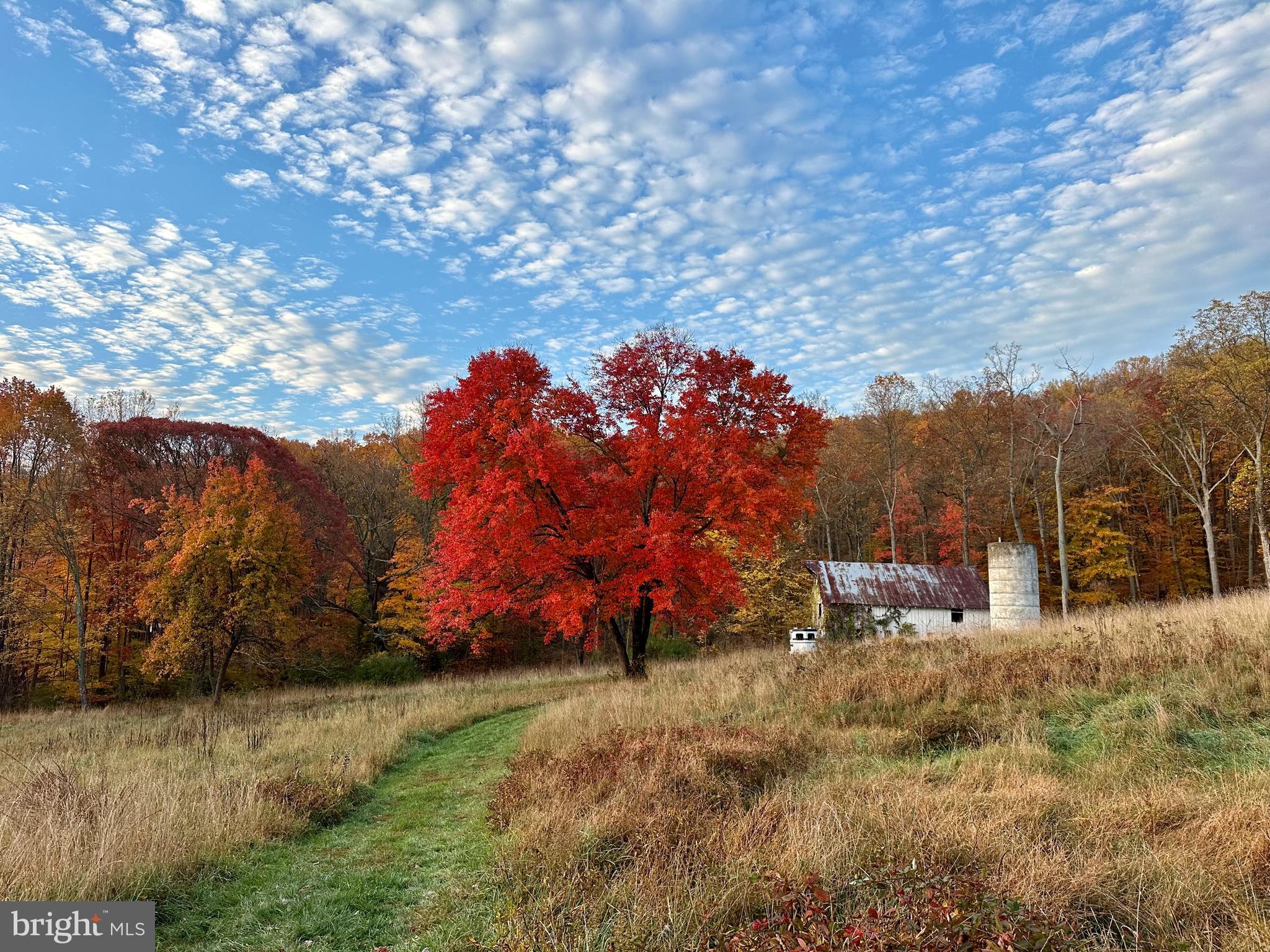 5065 COUNTRY CREEK LANE