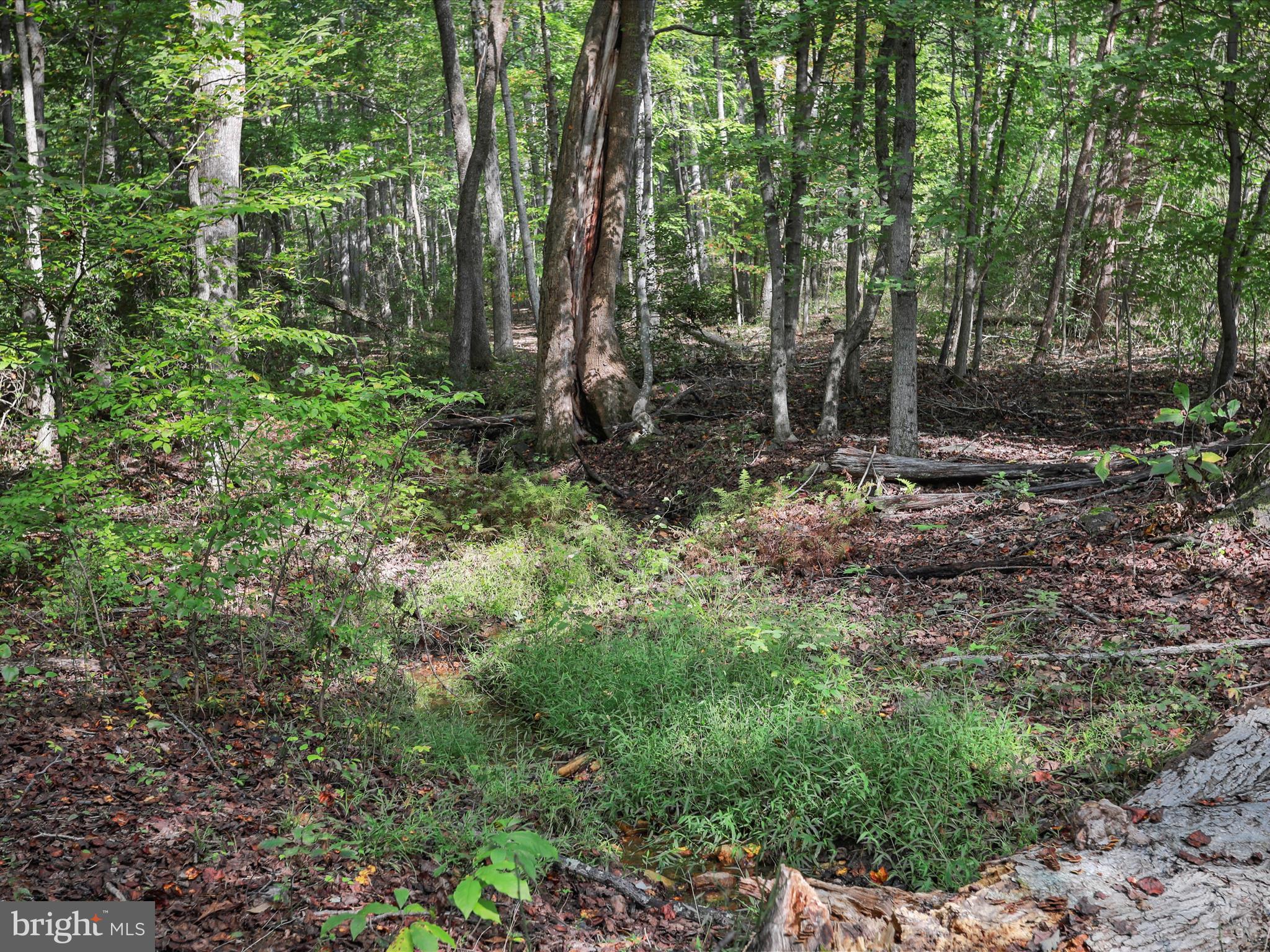 5065 COUNTRY CREEK LANE