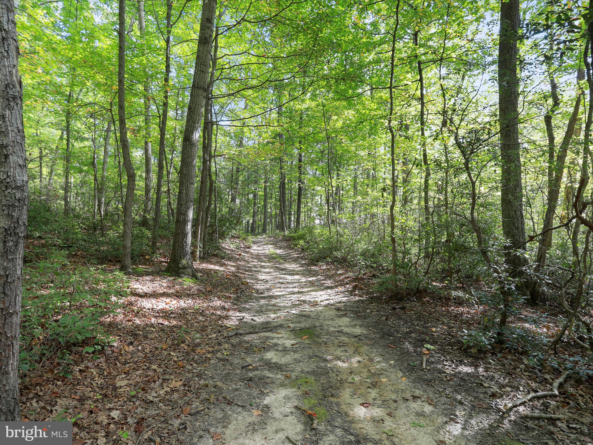 5065 COUNTRY CREEK LANE