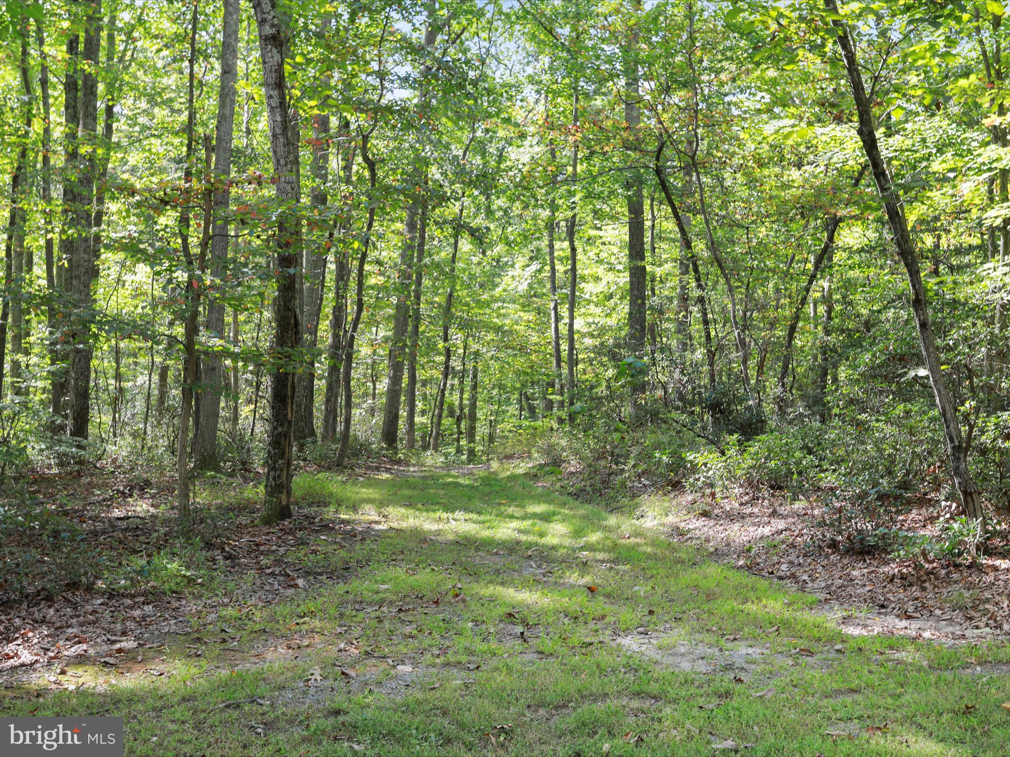 5065 COUNTRY CREEK LANE