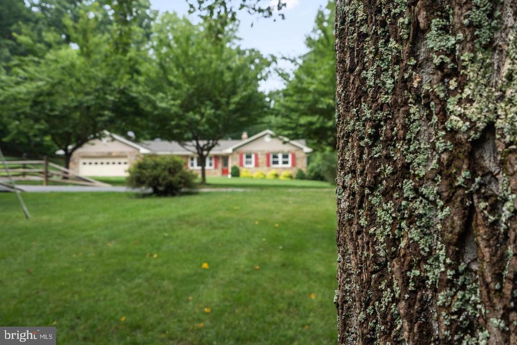 9808 TIMBER HEIGHTS