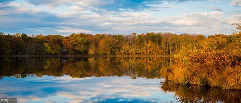 5558 ANN PEAKE DRIVE