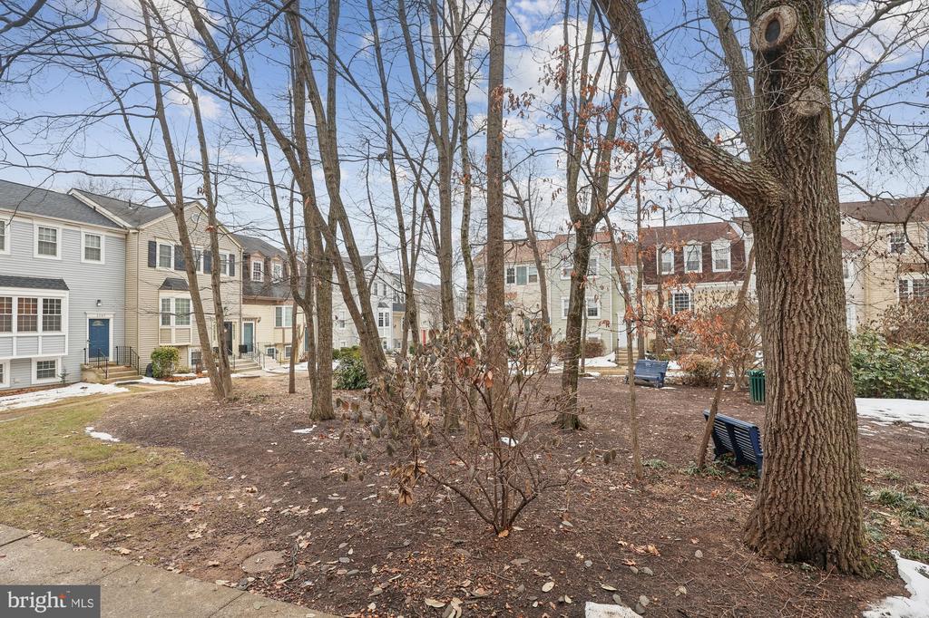 2396 BRANLEIGH PARK COURT